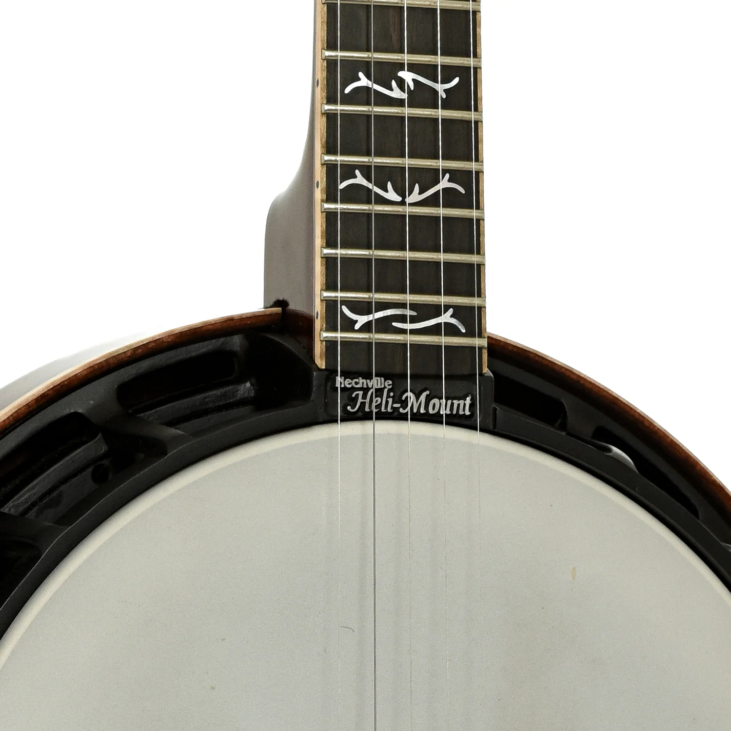 Nechville Orion Resonator Banjo (2021) - Image 5