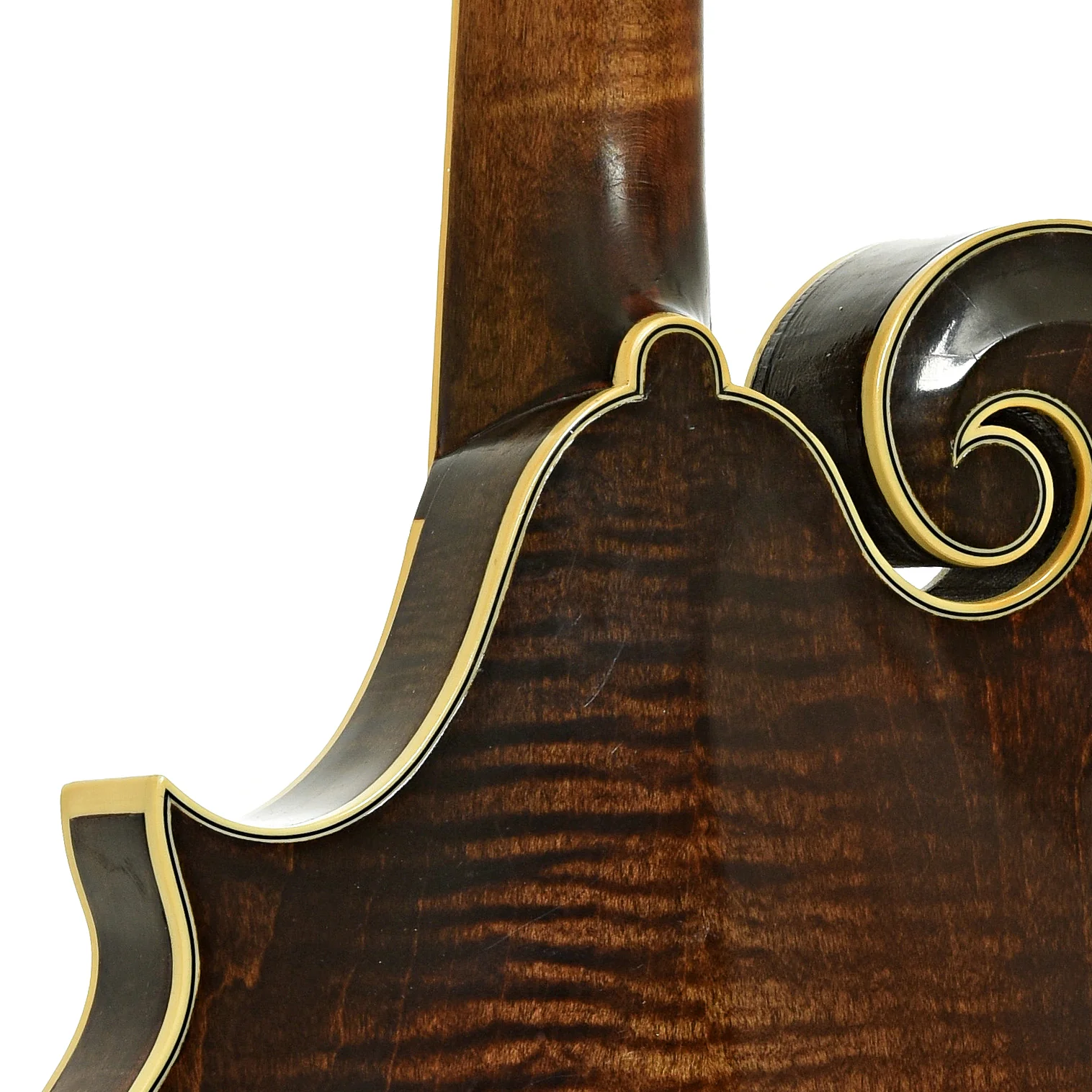 Newson F-5 Fern Mandolin (1982) - Image 10