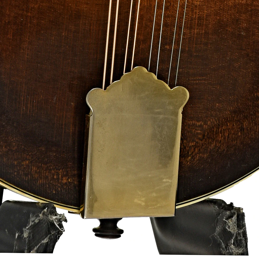 Newson F-5 Fern Mandolin (1982) - Image 5