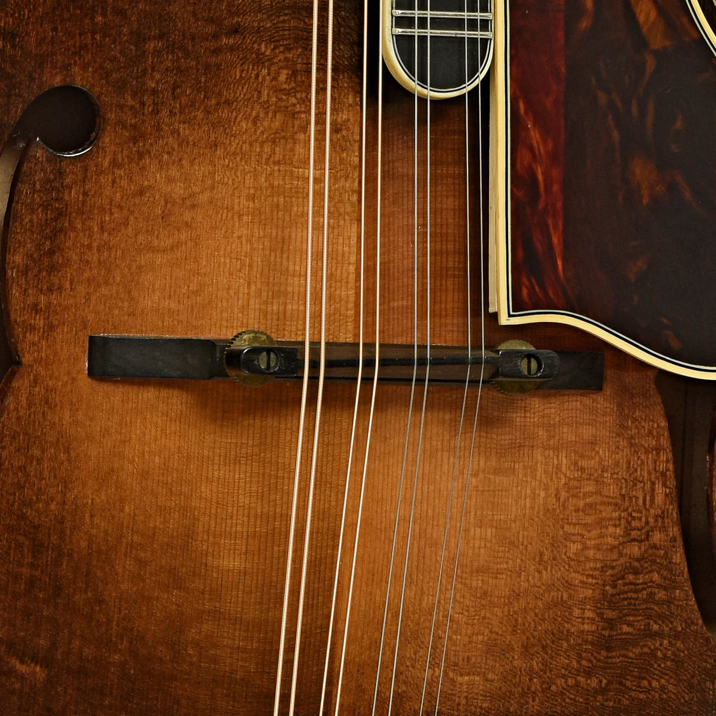 Newson F-5 Fern Mandolin (1982) - Image 6