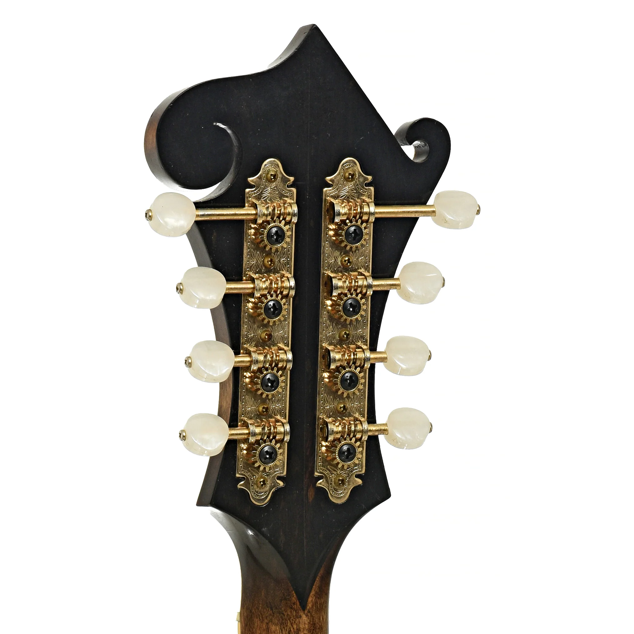 Newson F-5 Fern Mandolin (1982) - Image 9