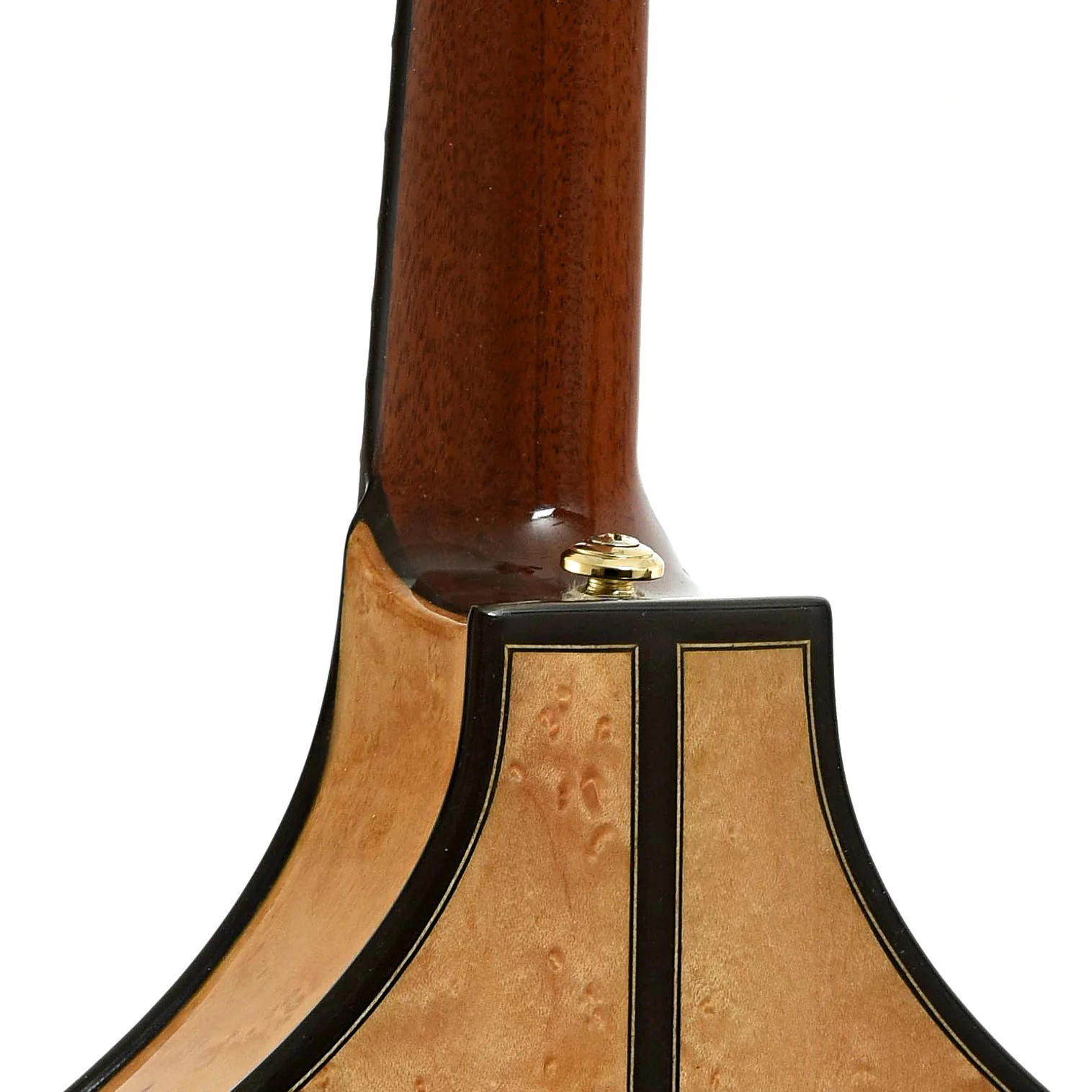NK Forster Big Celtic F Mandolin (2020) - Image 10