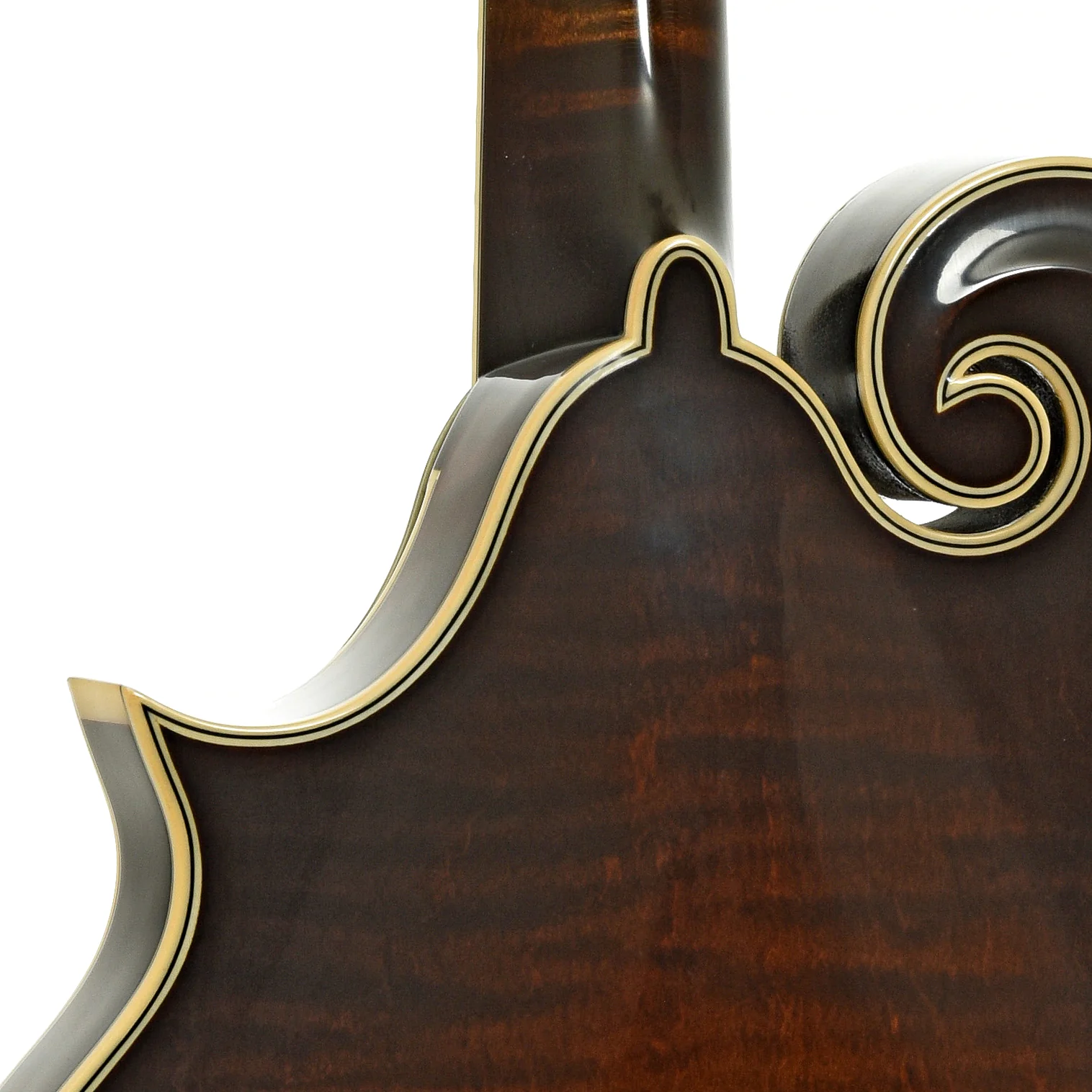 Northfield NFB-F5Altd Limited Edition Big Mon F-Style Mandolin & Case - Image 10