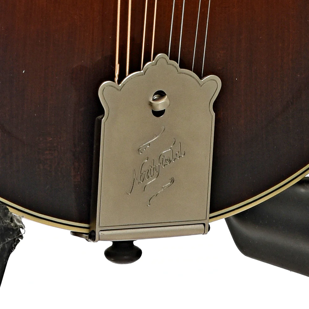 Northfield NFB-F5Altd Limited Edition Big Mon F-Style Mandolin & Case - Image 5