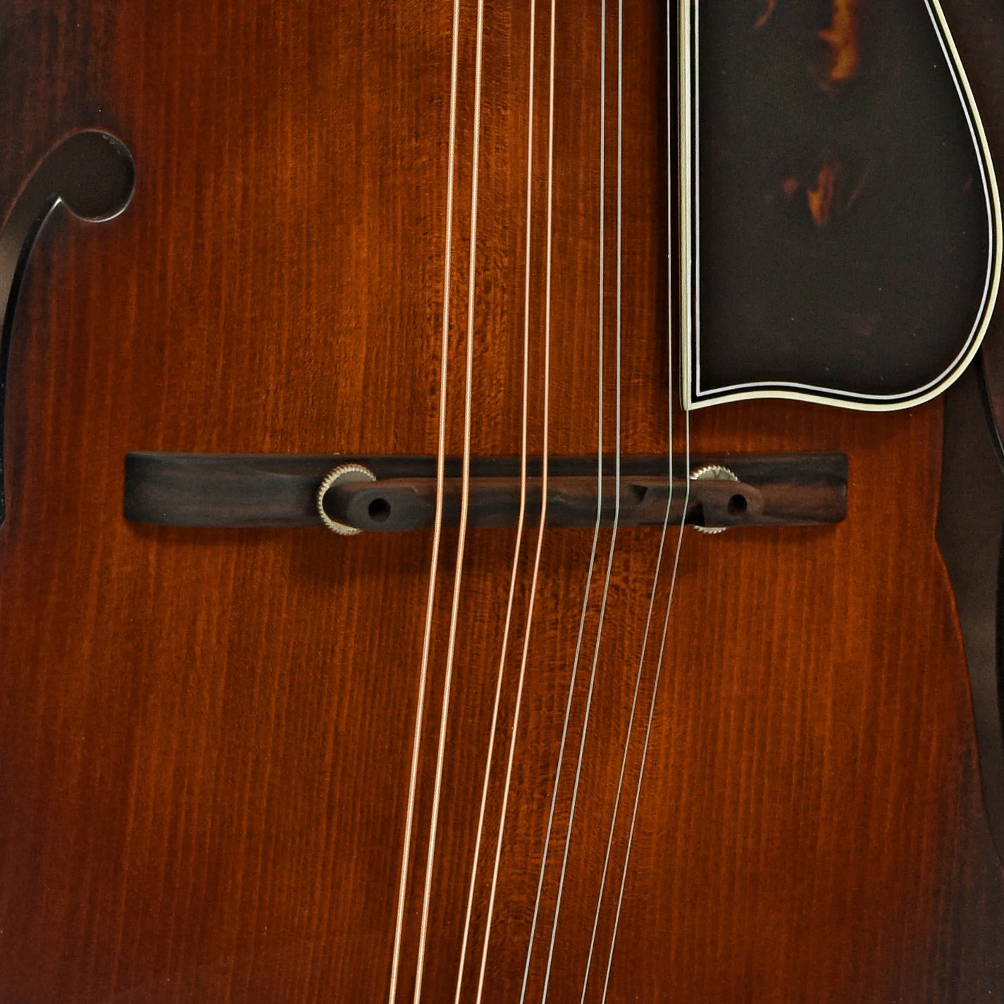 Northfield NFB-F5Altd Limited Edition Big Mon F-Style Mandolin & Case - Image 6