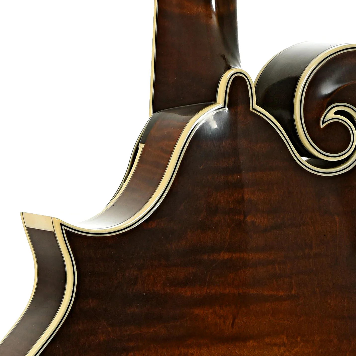 Northfield NFB-F5AWNltd Limited Edition Big Mon F-Style Mandolin & Case, Wide Nut - Image 10