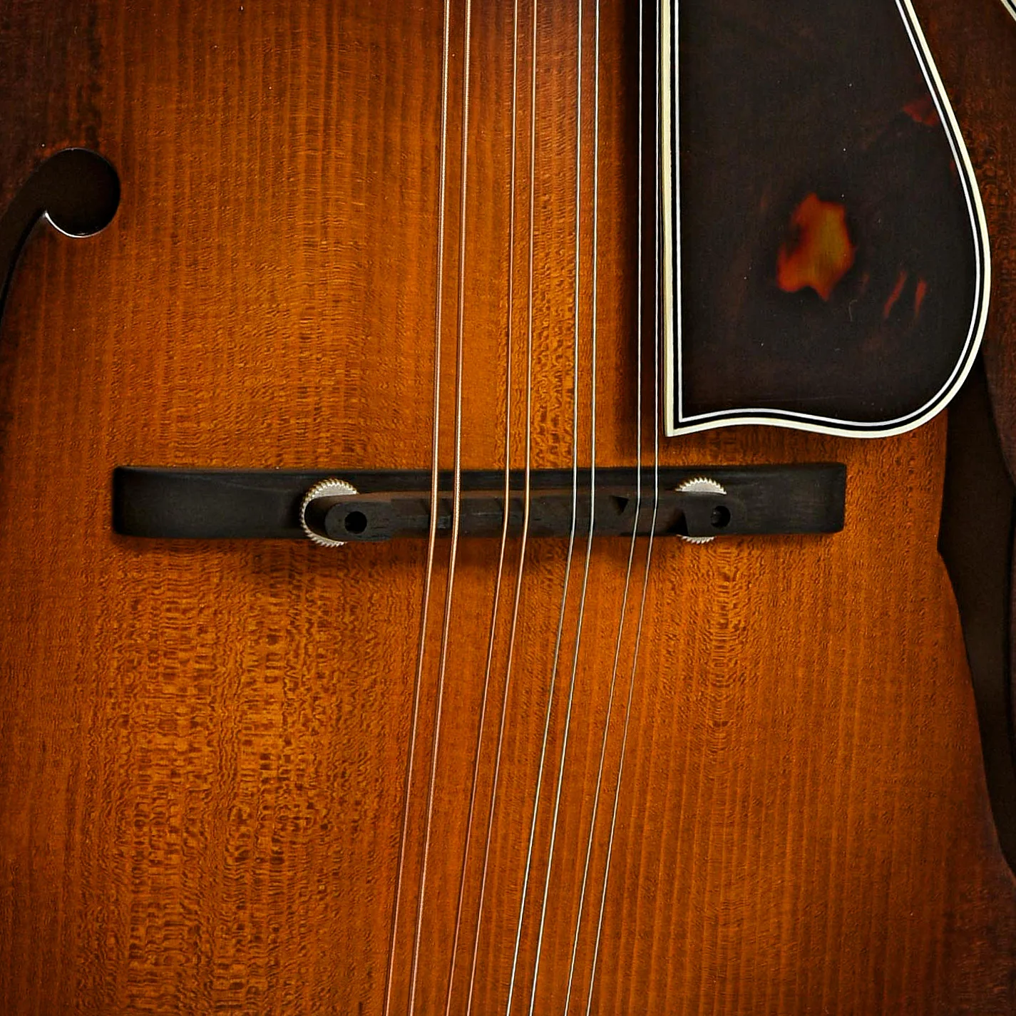 Northfield NFB-F5AWNltd Limited Edition Big Mon F-Style Mandolin & Case, Wide Nut - Image 6