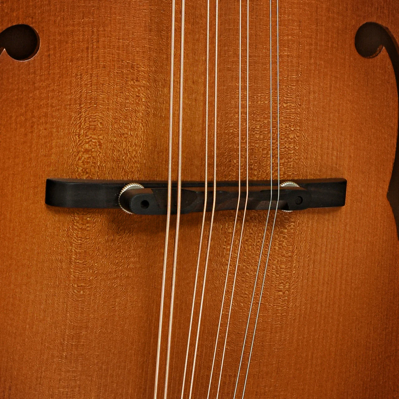 Northfield Wavelength Octave Mandolin & Gigbag, Ox Amber - Image 5