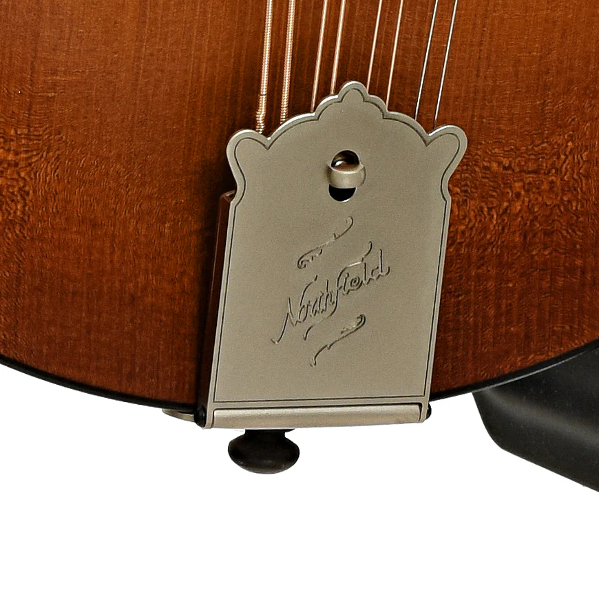 Northfield Wavelength Octave Mandolin & Gigbag, Ox Amber - Image 6