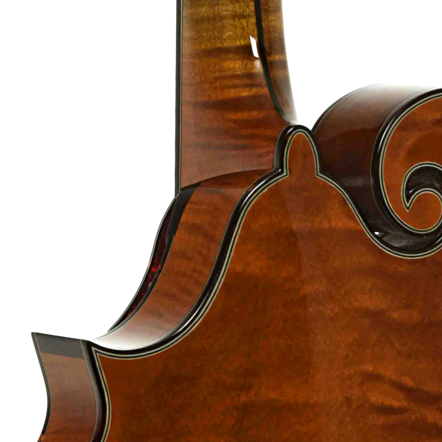 Northfield Artist Series Limited Edition F-Style Mandolin & Case, Italian Spruce - Image 10