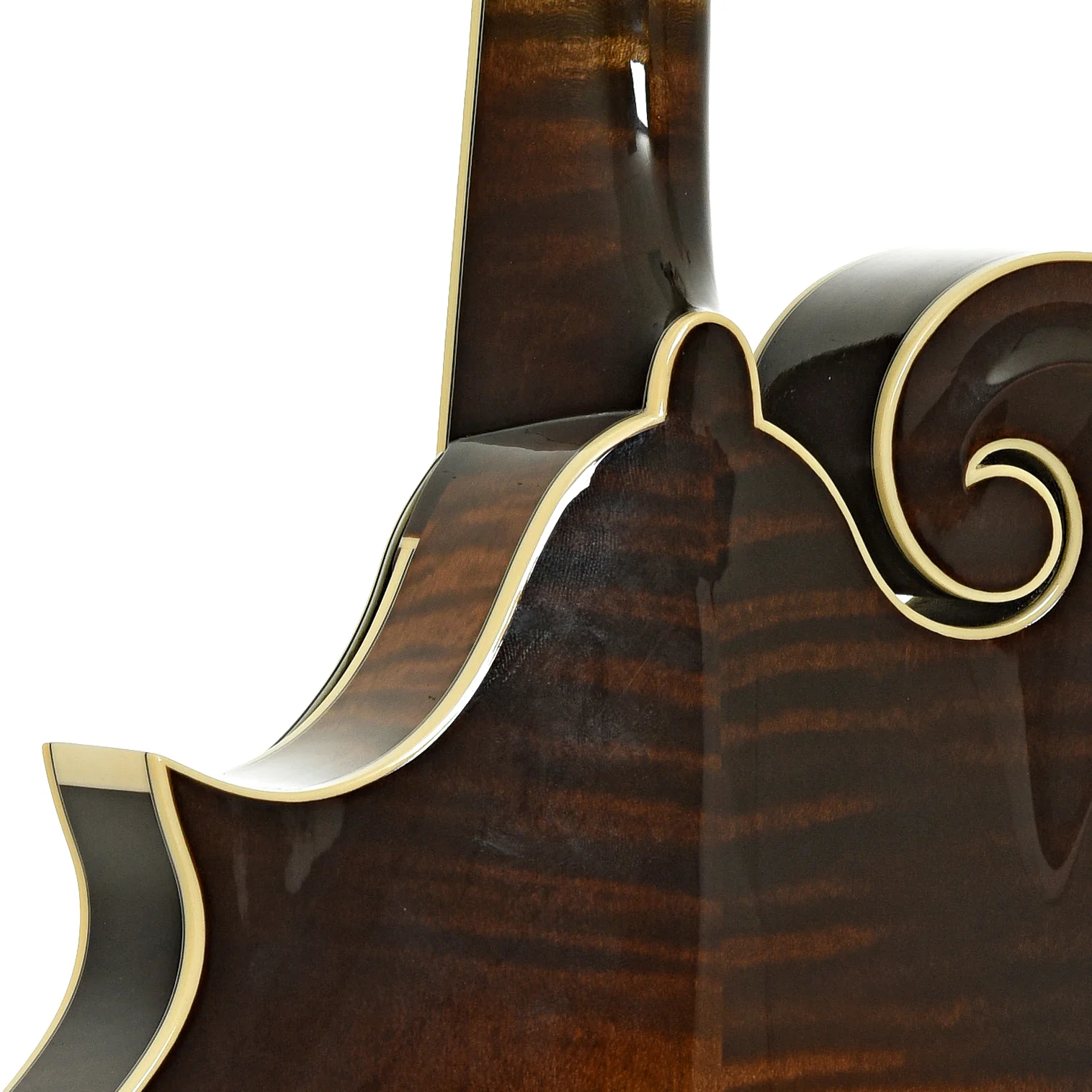 Northfield NFB-F5A Big Mon F-Style Mandolin & Case, Adirondack Top - Image 11