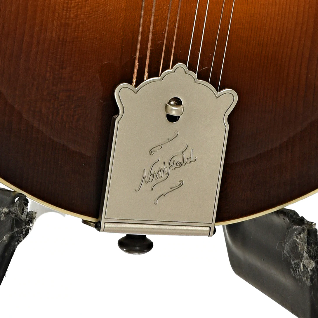 Northfield NFB-F5A Big Mon F-Style Mandolin & Case, Adirondack Top - Image 6