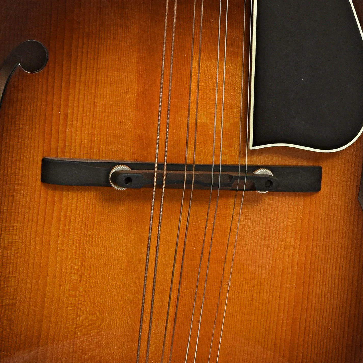 Northfield NFB-F5A Big Mon F-Style Mandolin & Case, Adirondack Top - Image 7