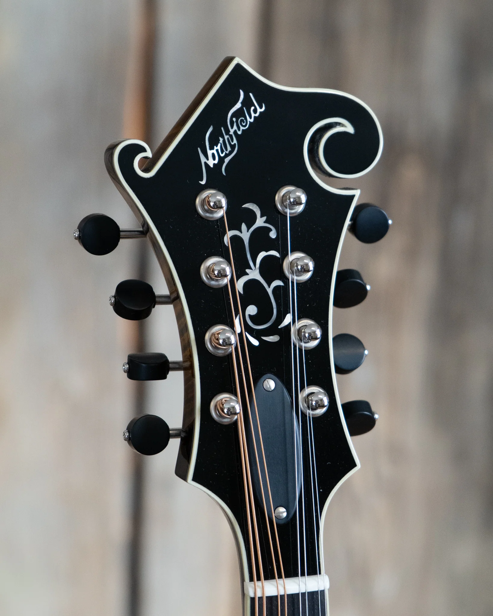 Northfield NFB-F5E Big Mon F-Style Mandolin & Case, Engelmann Top - Image 5