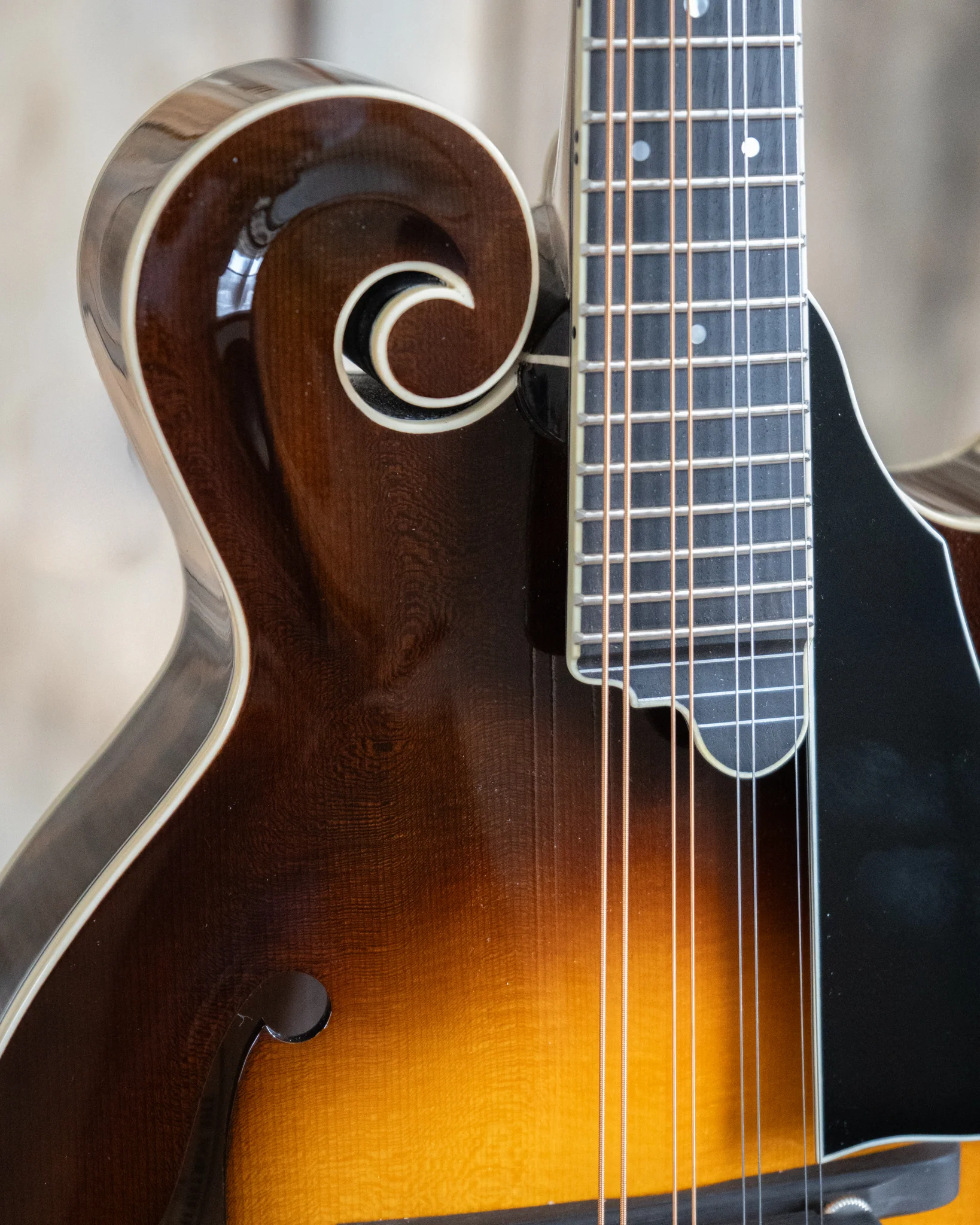 Northfield NFB-F5E Big Mon F-Style Mandolin & Case, Engelmann Top - Image 6