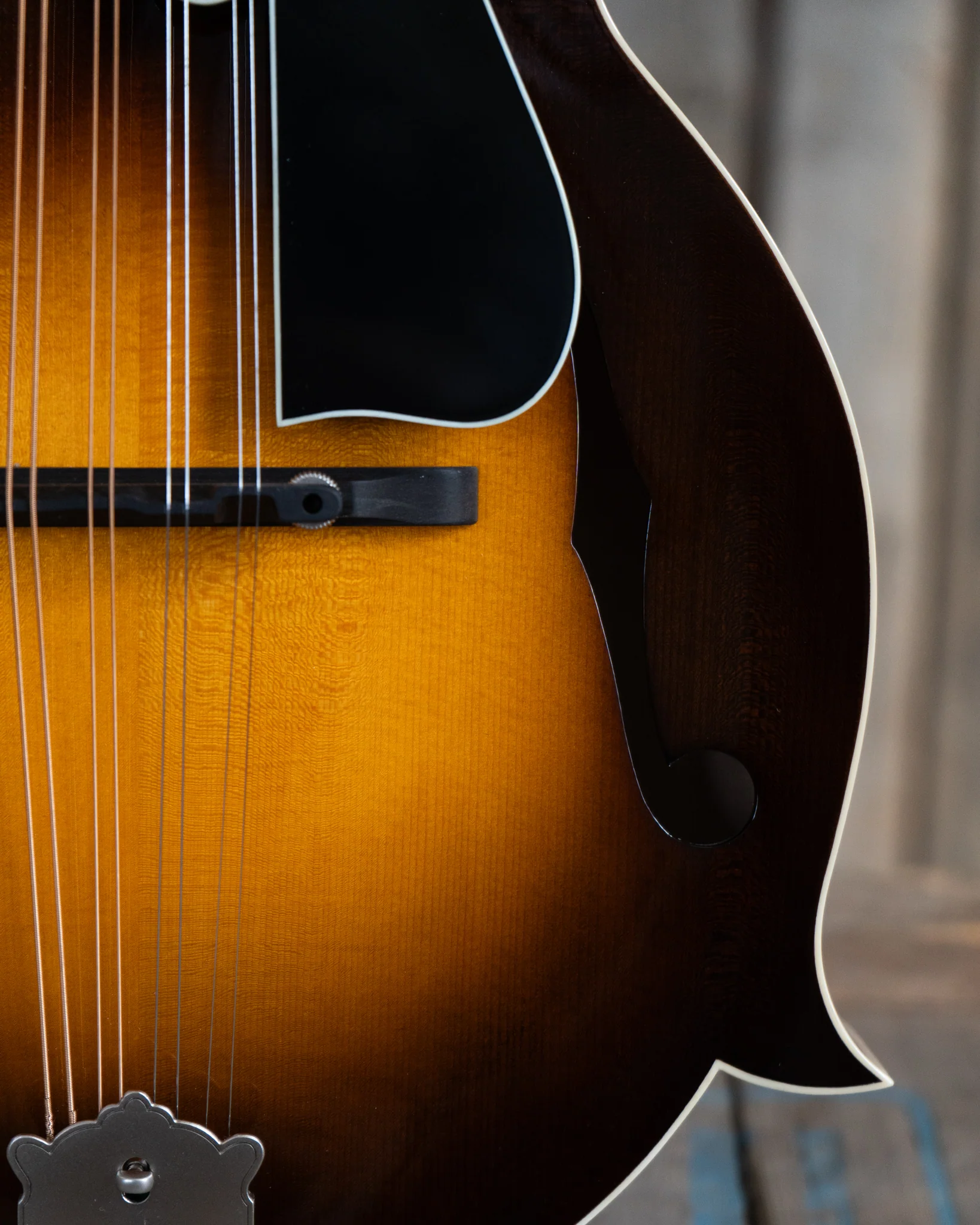 Northfield NFB-F5E Big Mon F-Style Mandolin & Case, Engelmann Top - Image 7
