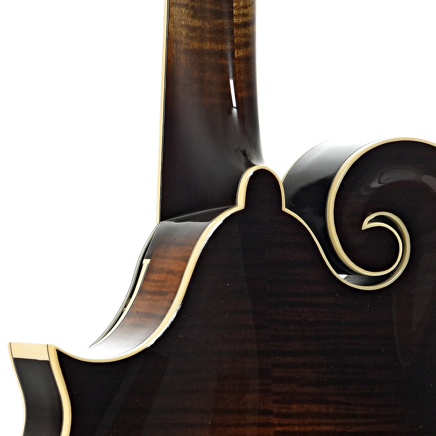 Northfield NFB-F5AWN Big Mon F-Style Mandolin & Case, Wide Nut - Image 10