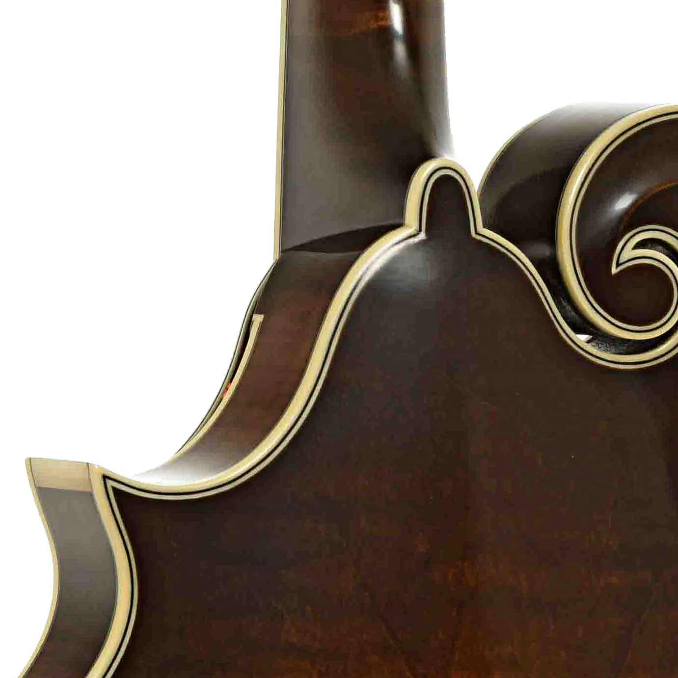 Northfield NFB-F5E Limited Edition Big Mon F-Style Mandolin & Case, Engelmann Top - Image 10