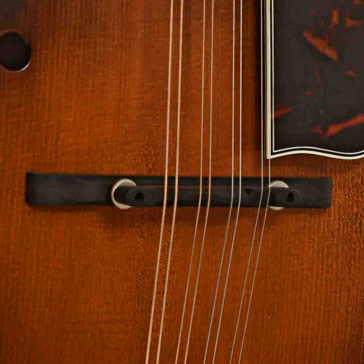 Northfield NFB-F5E Limited Edition Big Mon F-Style Mandolin & Case, Engelmann Top - Image 6