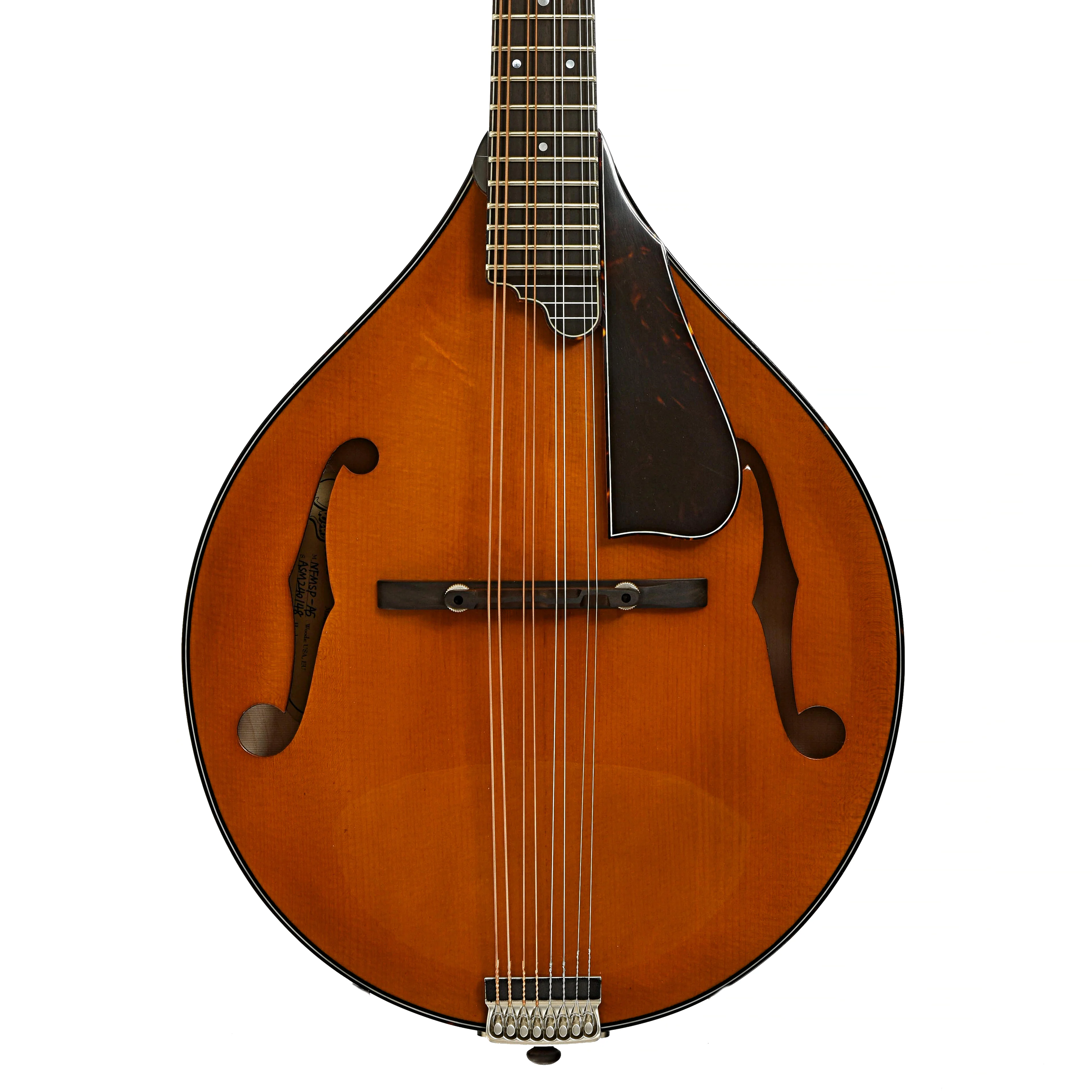 Northfield NFMSP-A5 A5 Special A-Style Mandolin & Case, Amber - Image 2