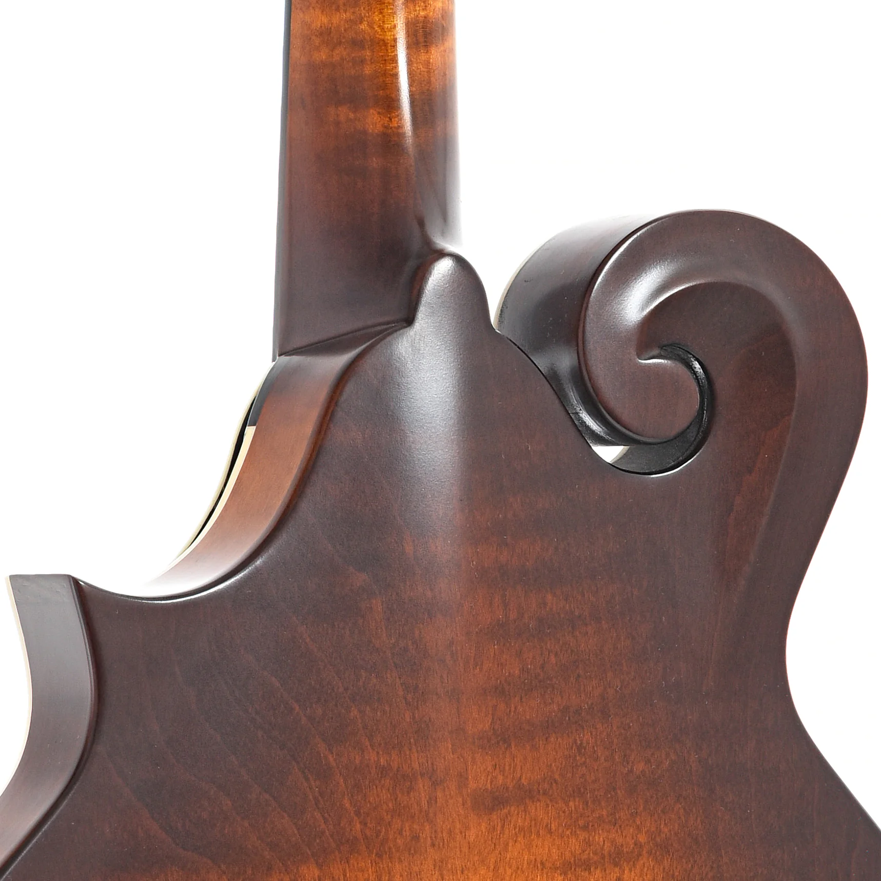 Northfield NFS-F2 S-Series F-Style Oval Hole Mandolin & Case, Blacktop - Image 10