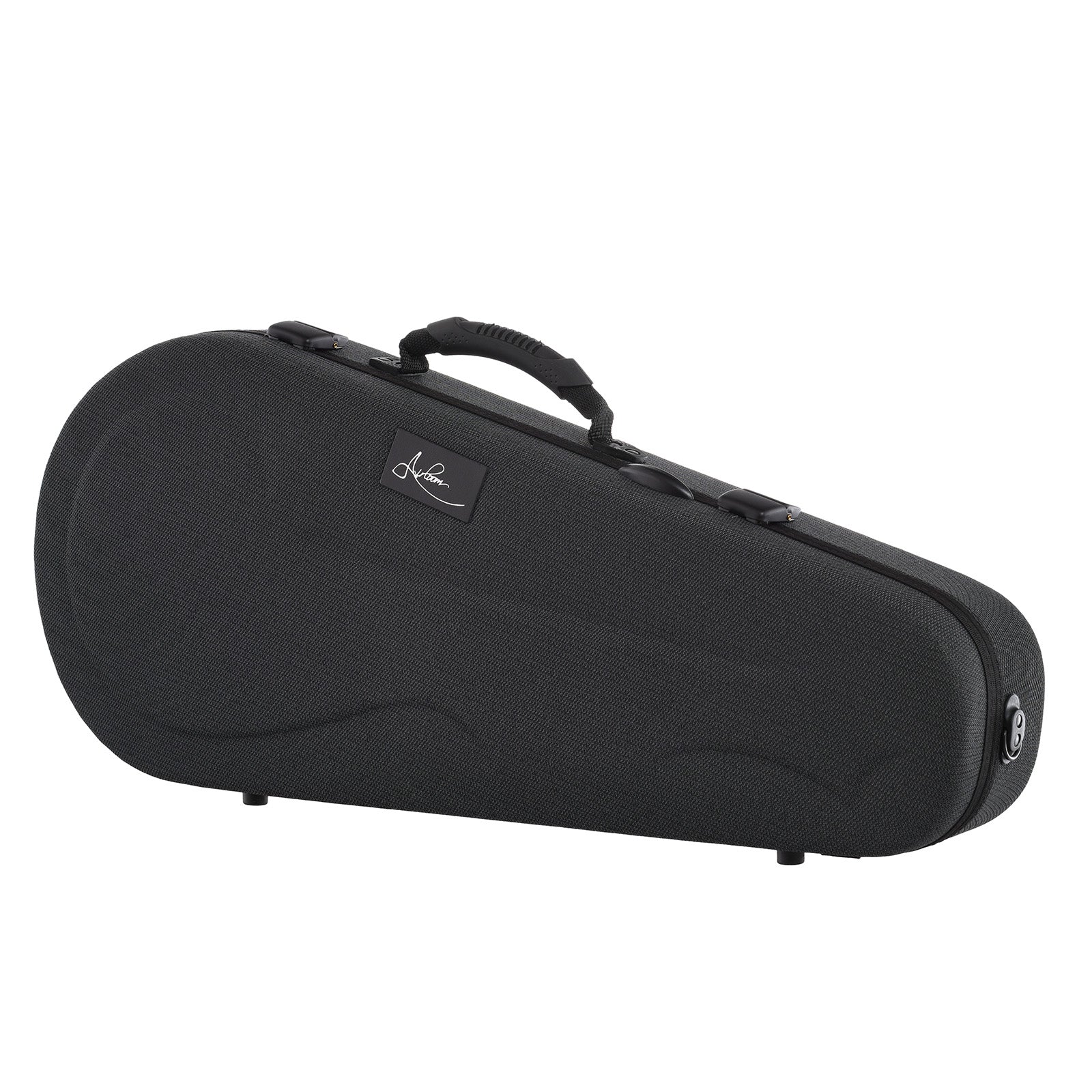 Northfield NFS-F2 S-Series F-Style Oval Hole Mandolin & Case, Blacktop - Image 13
