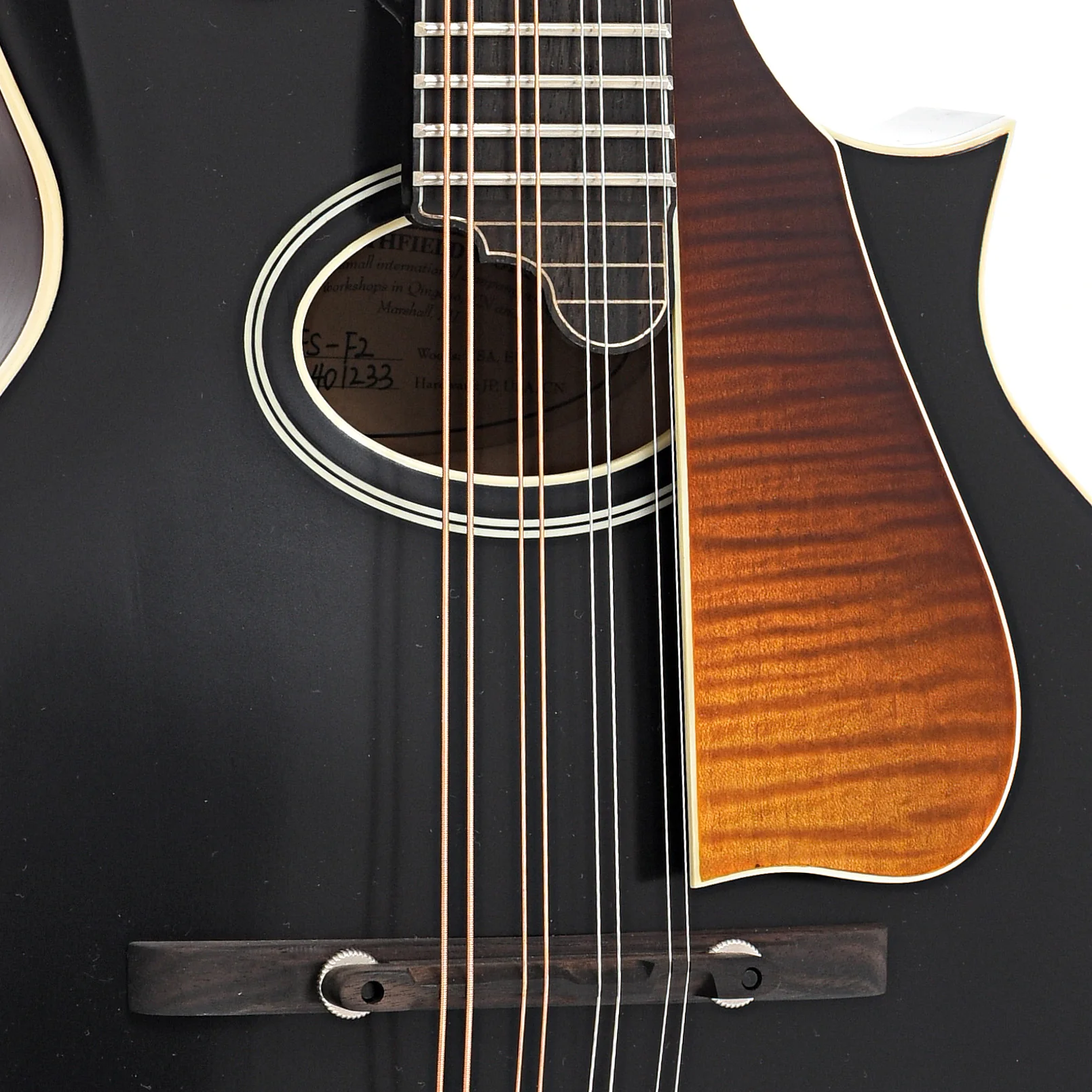 Northfield NFS-F2 S-Series F-Style Oval Hole Mandolin & Case, Blacktop - Image 6