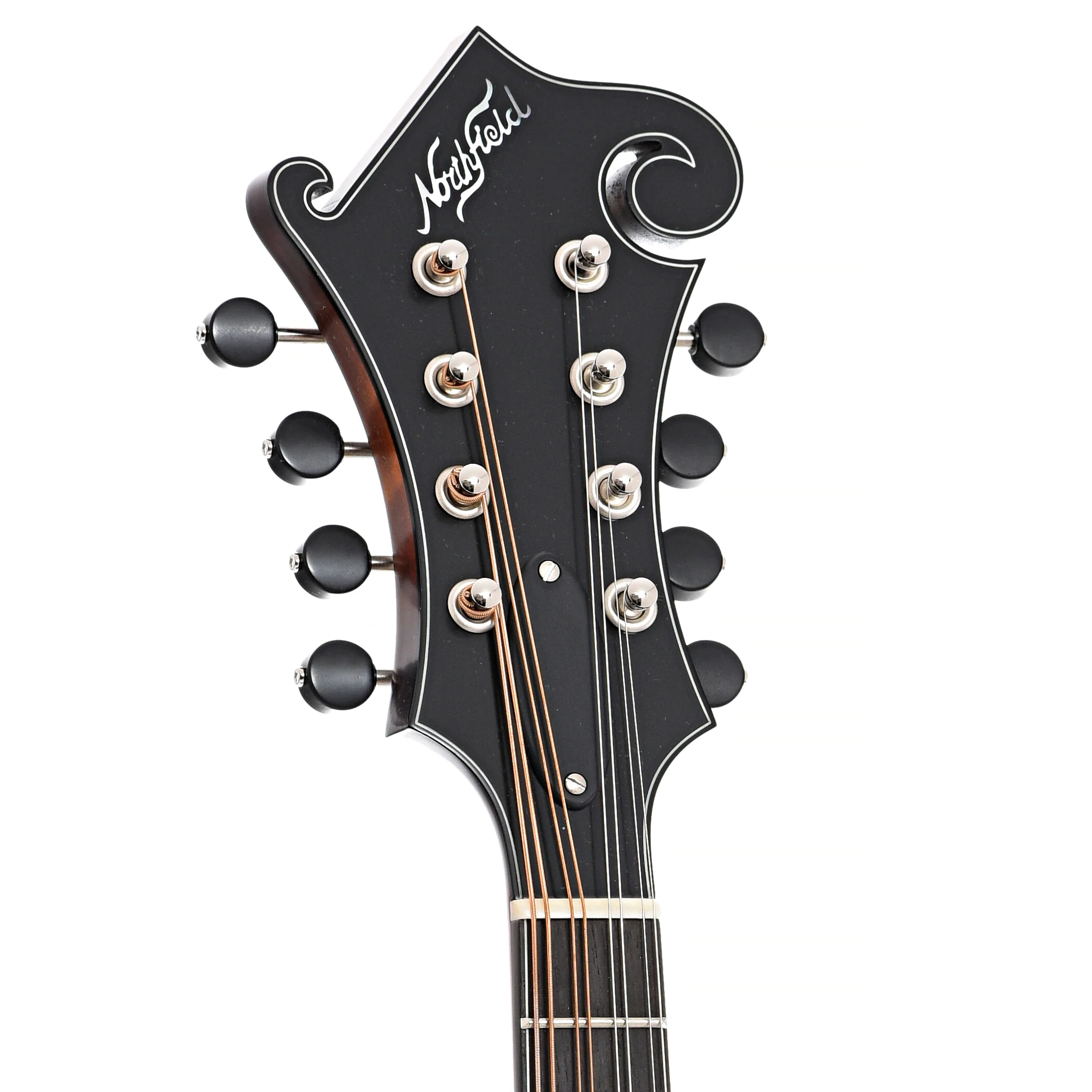 Northfield NFS-F2 S-Series F-Style Oval Hole Mandolin & Case, Blacktop - Image 8