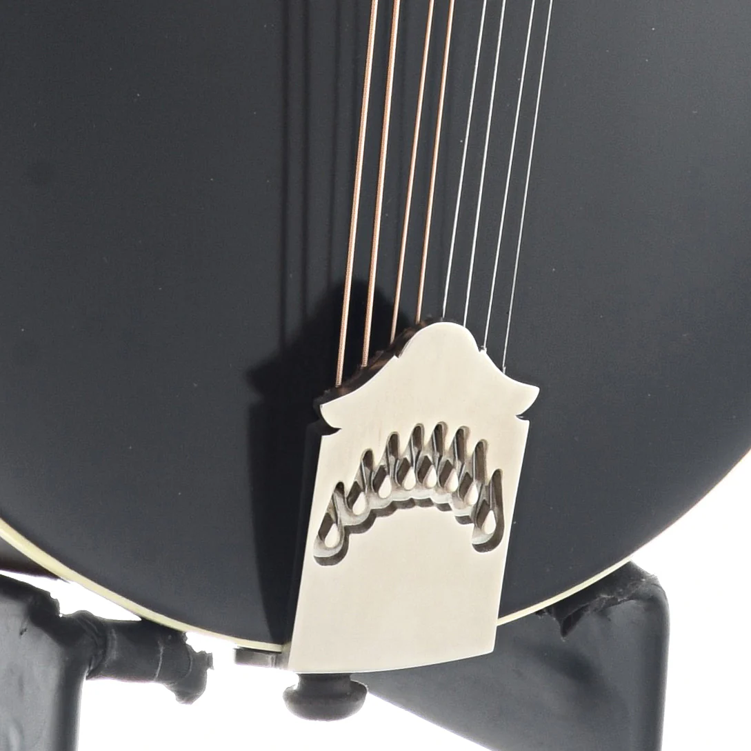 Northfield NFS-F5 S-Series F-Style Mandolin & Case, Blacktop - Image 6