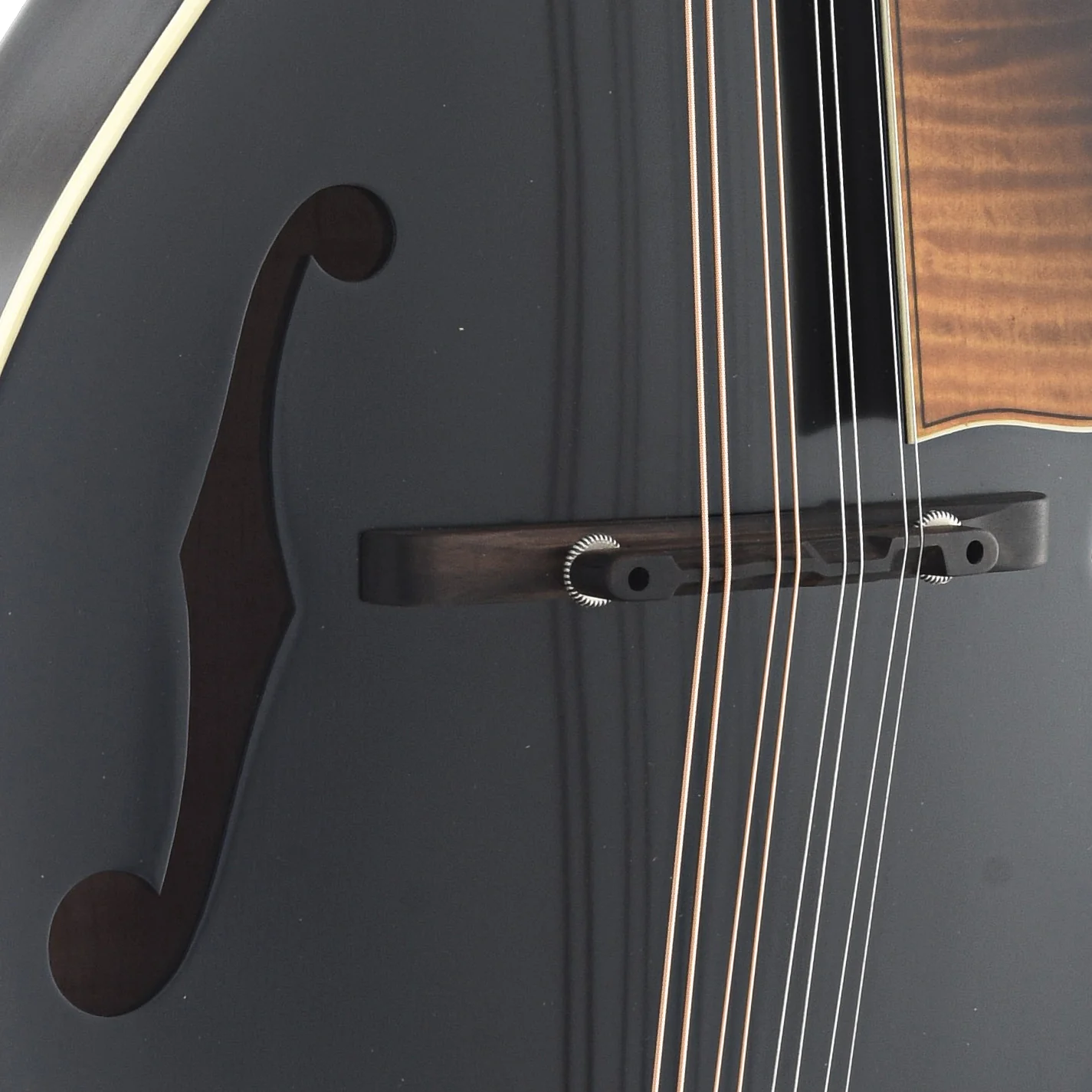 Northfield NFS-F5 S-Series F-Style Mandolin & Case, Blacktop - Image 7