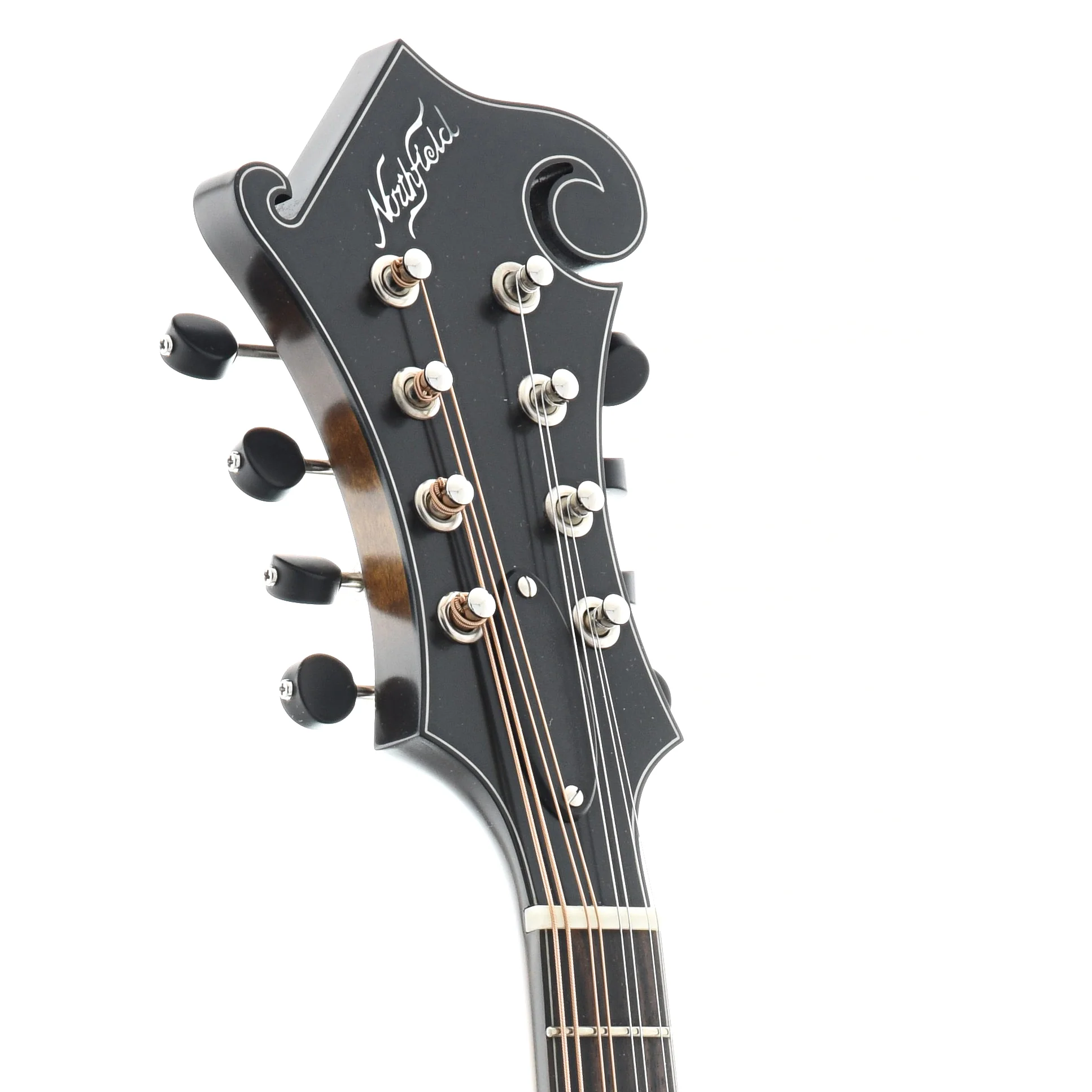 Northfield NFS-F5 S-Series F-Style Mandolin & Case, Blacktop - Image 9
