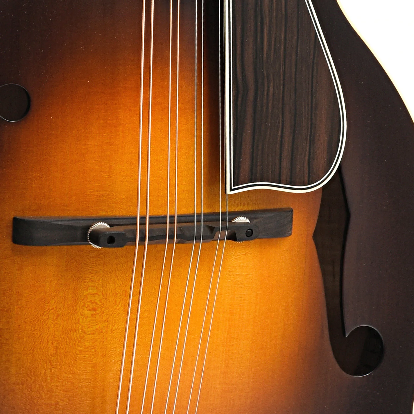 Northfield NFS-F5 S-Series F-Style Mandolin & Case, Sunburst - Image 6