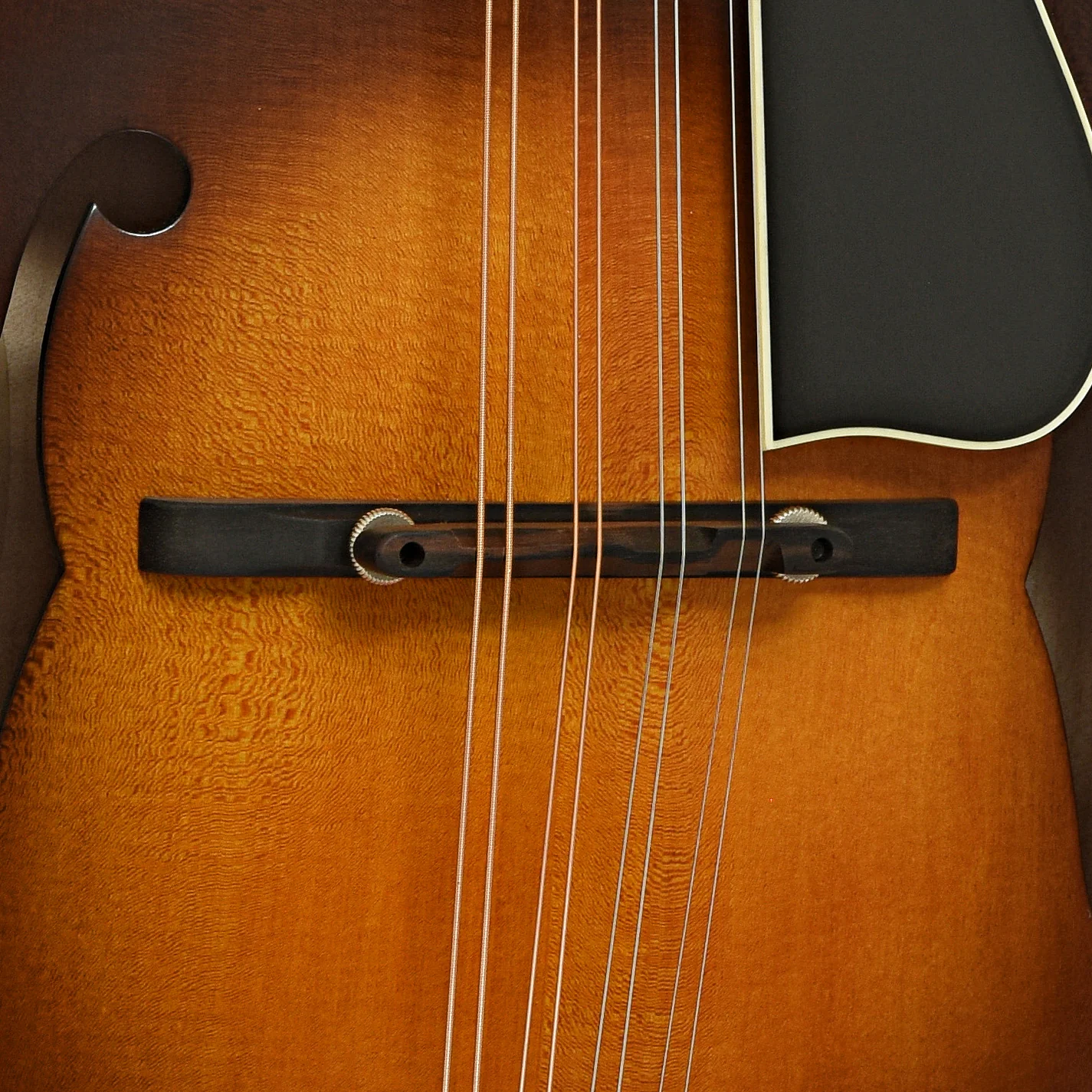Northfield NFS-F5E S-Series F-Style Mandolin & Case - Image 6