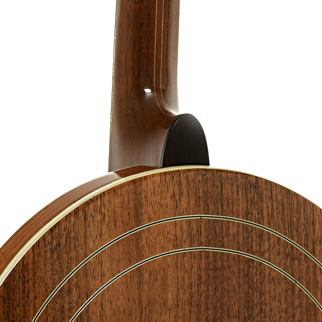 Baldwin Ode Style C 6505 Resonator Banjo (1979) - Image 12