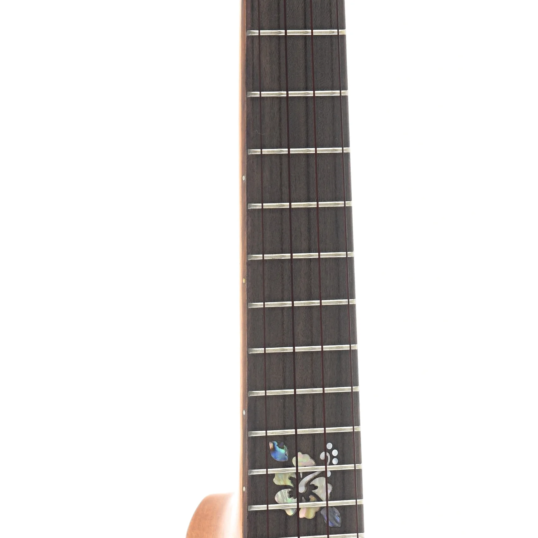 Ohana CK-14CL Cynthia Lin Signature Concert Ukulele Bundle - Image 6