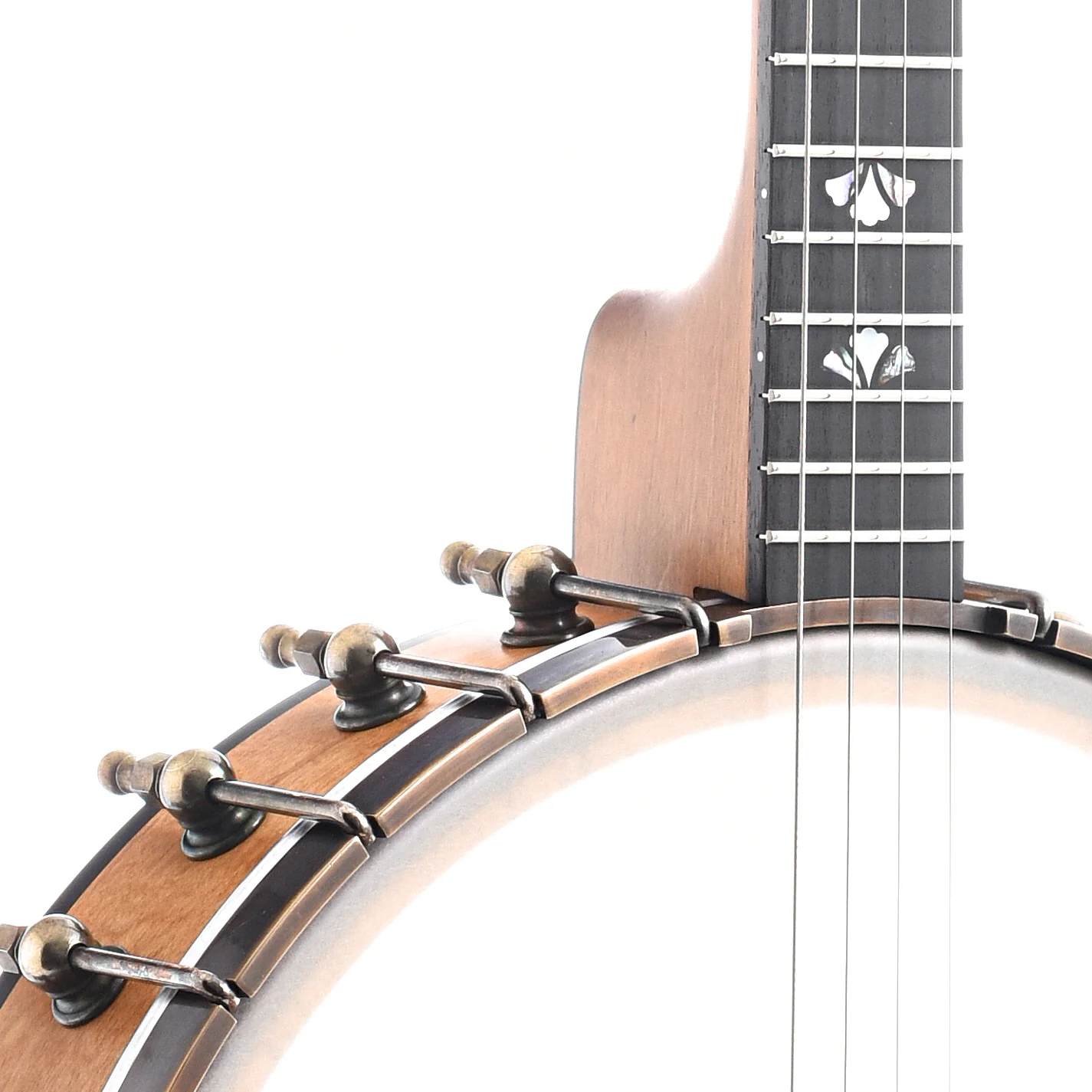 Ome Celtic 12" Tenor Banjo & Gigbag, Curly Maple - Image 5