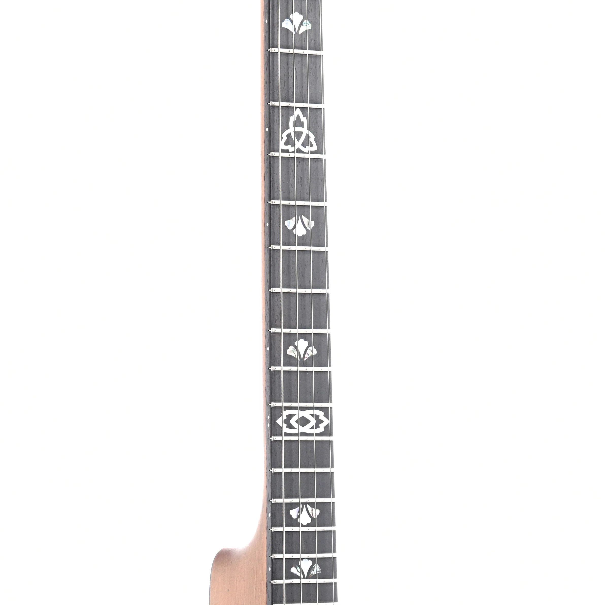 Ome Celtic 12" Tenor Banjo & Gigbag, Curly Maple - Image 6