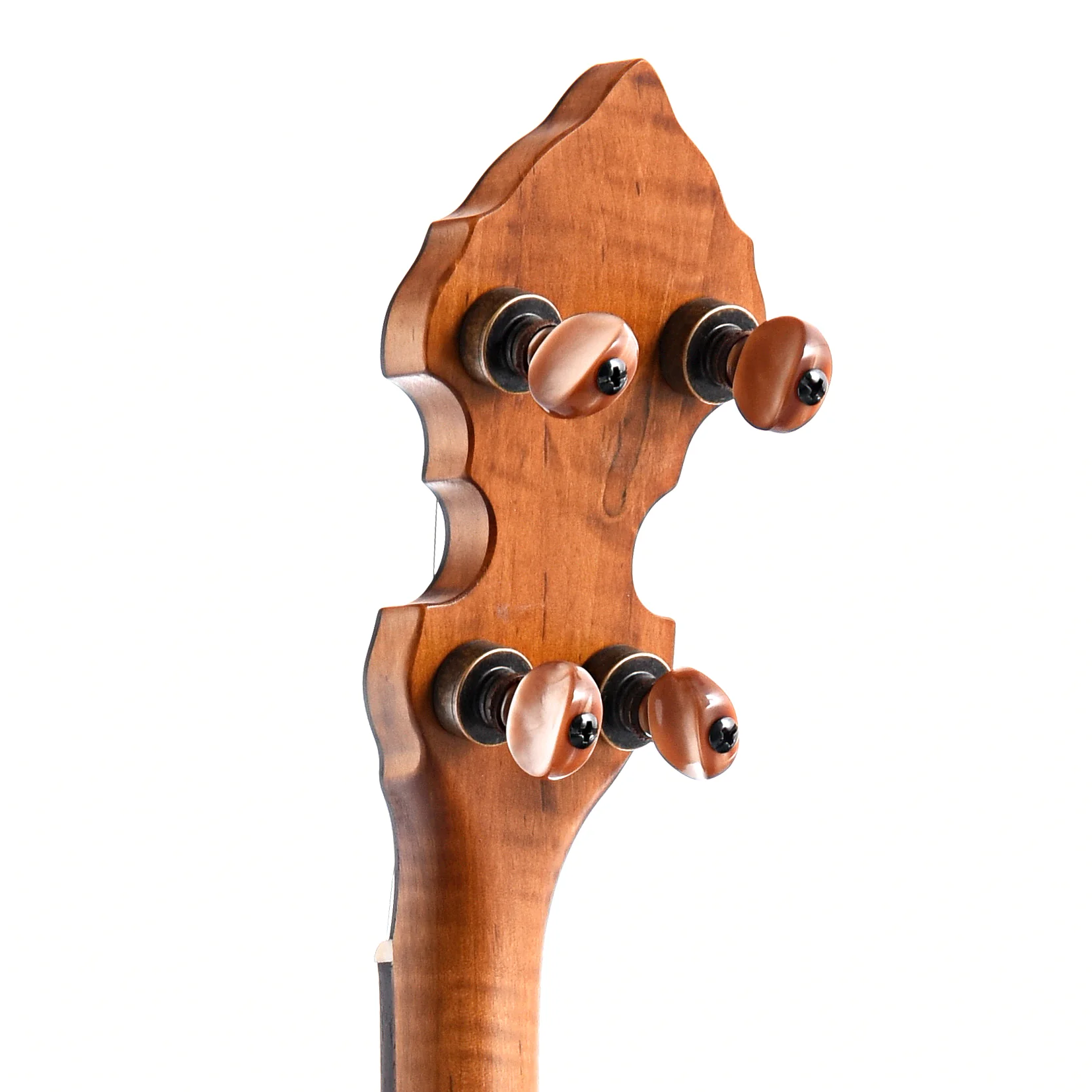Ome Celtic 12" Tenor Banjo & Gigbag, Curly Maple - Image 8