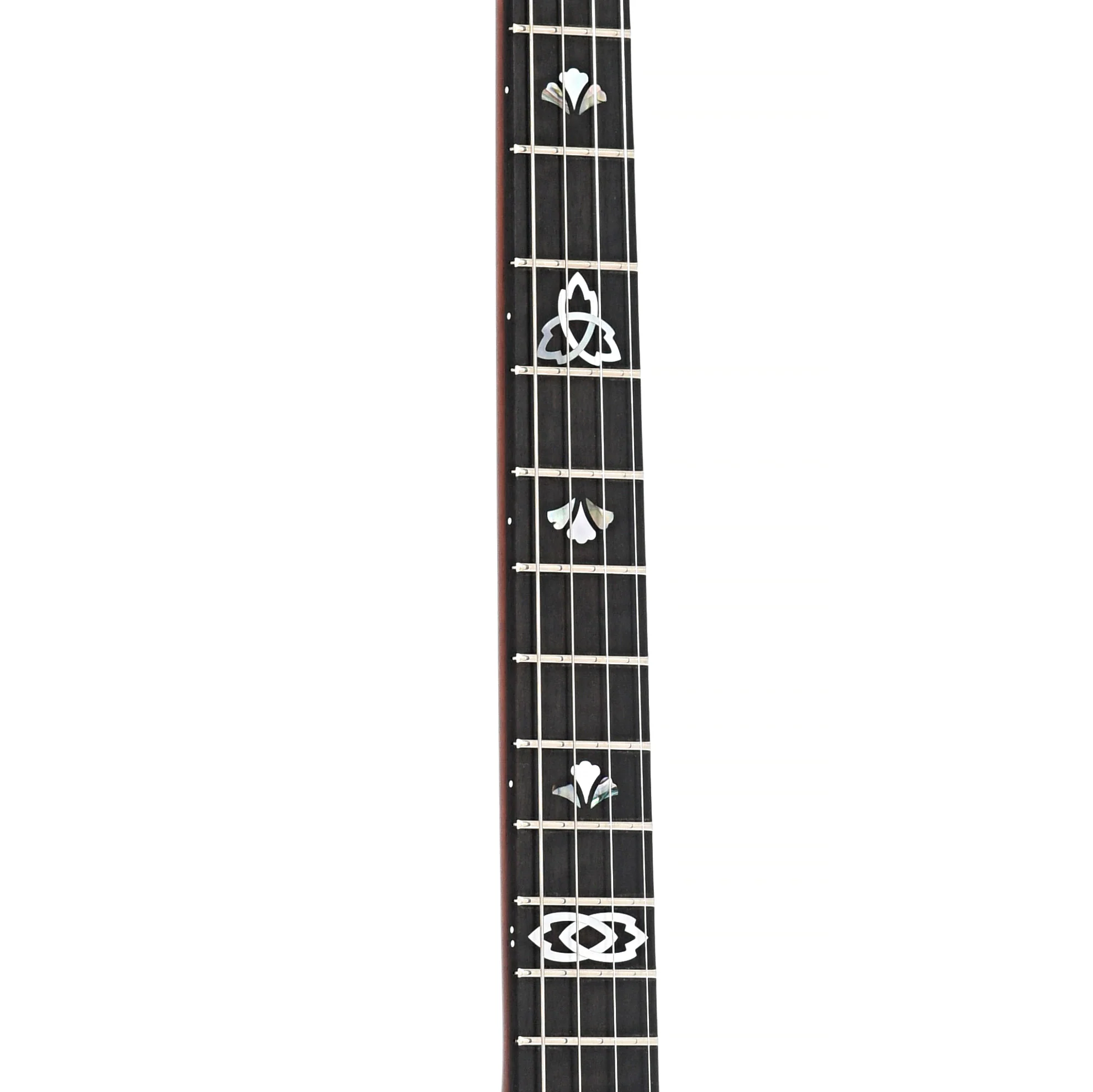 Ome Celtic 12" Tenor Banjo & Gigbag, Curly Maple, Dark Stain - Image 6
