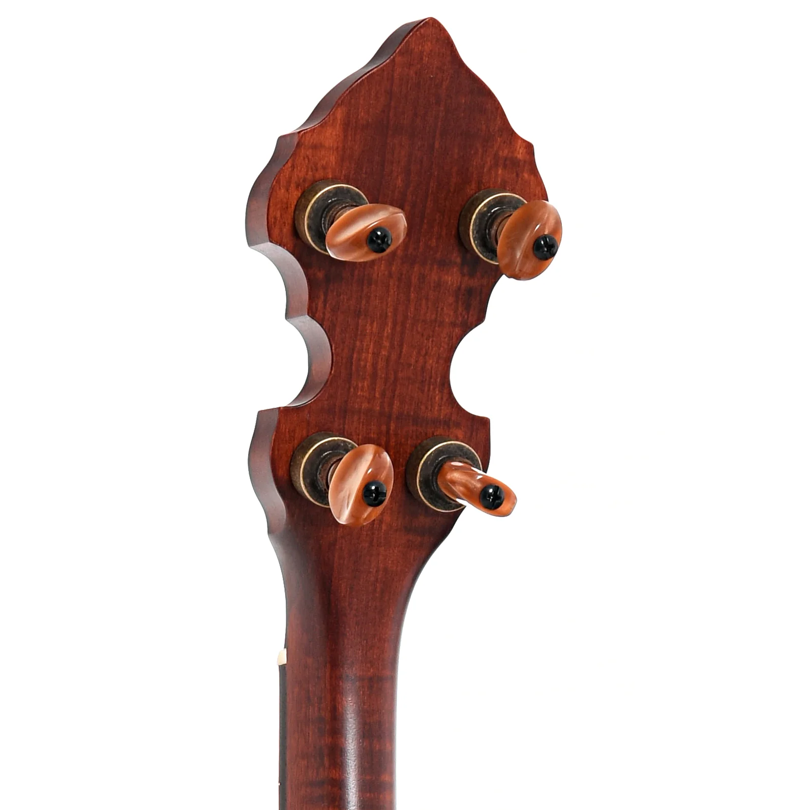 Ome Celtic 12" Tenor Banjo & Gigbag, Curly Maple, Dark Stain - Image 8