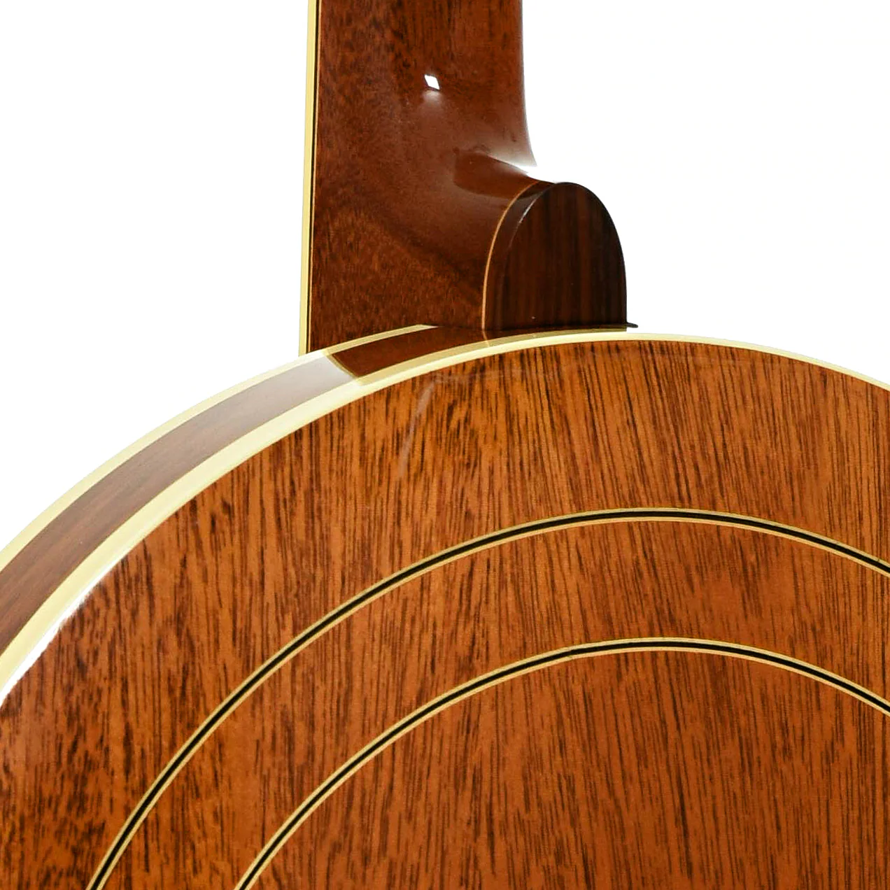 Ome XX Custom Resonator Banjo (1981) - Image 12