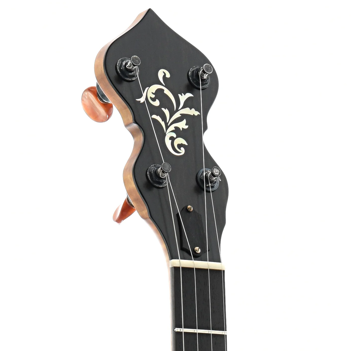 Ome Flora 11" Openback Banjo & Case, Curly Maple - Image 6
