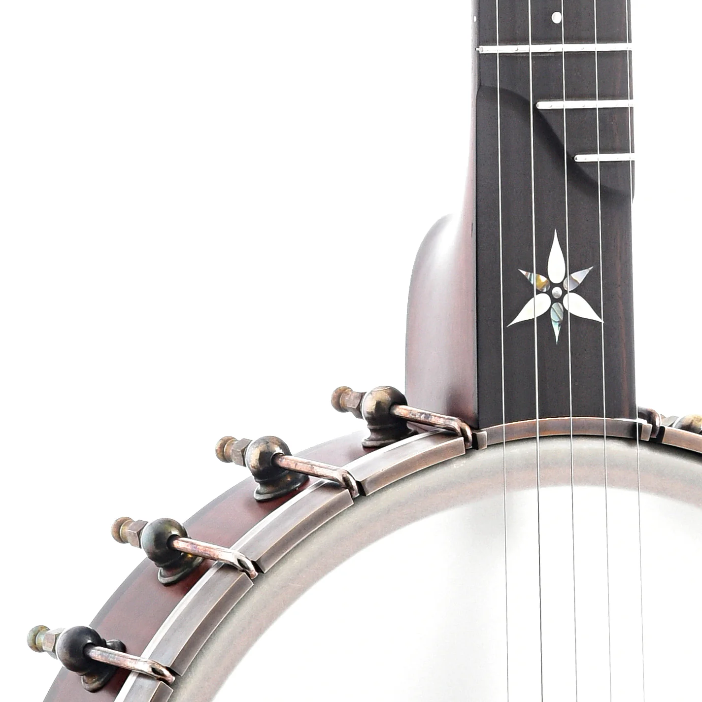 Ome Flora 11" Openback Banjo & Case, Curly Maple, Dark Stain - Image 5