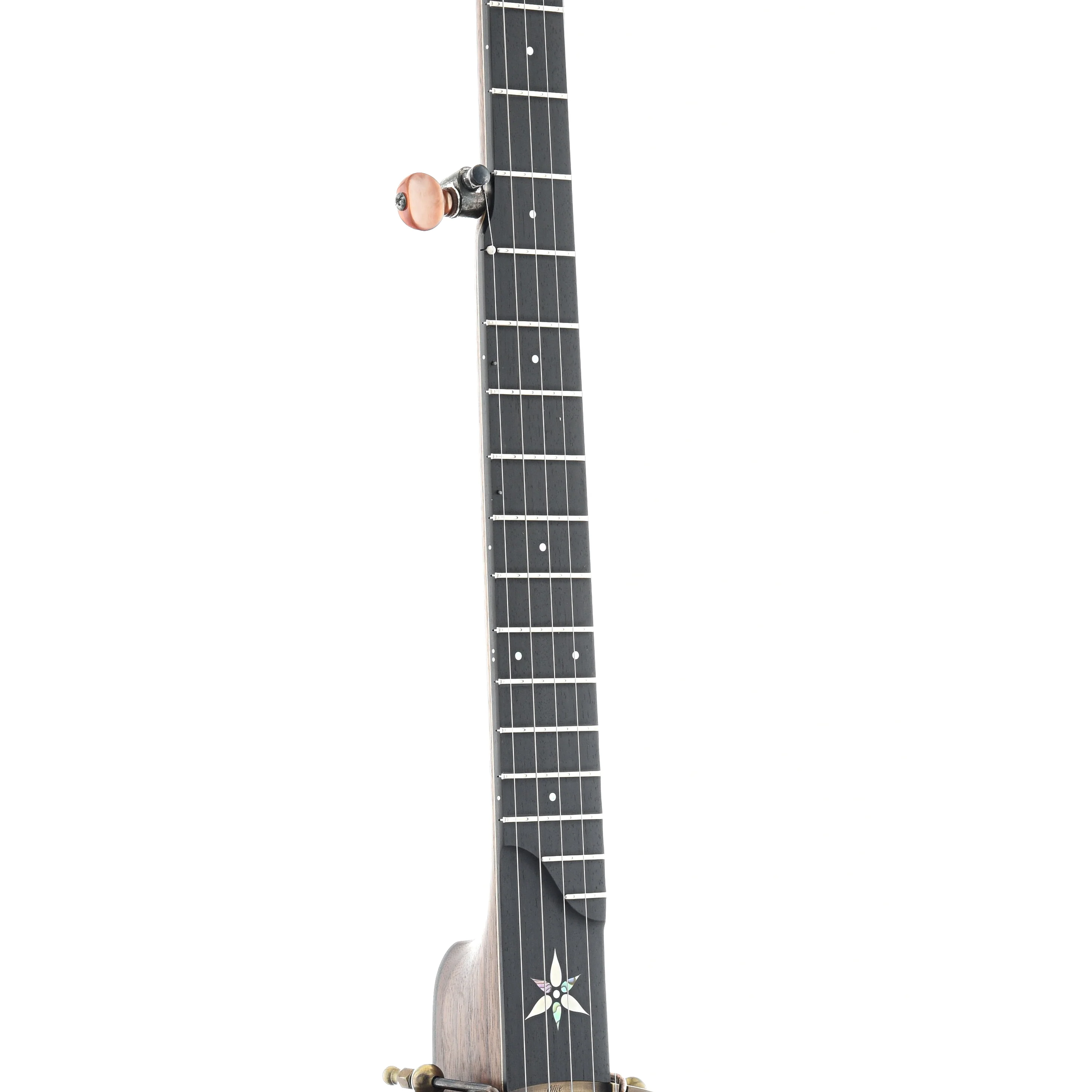 Ome Flora 11" Openback Banjo & Case, Walnut - Image 5