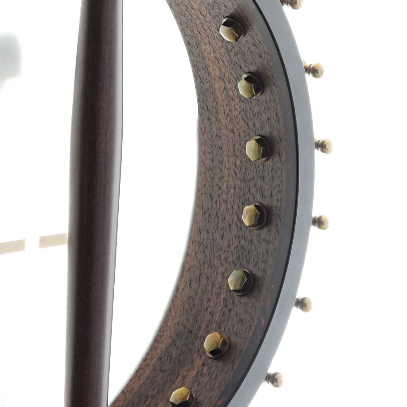 Ome Flora 11" Openback Banjo & Case, Walnut - Image 9