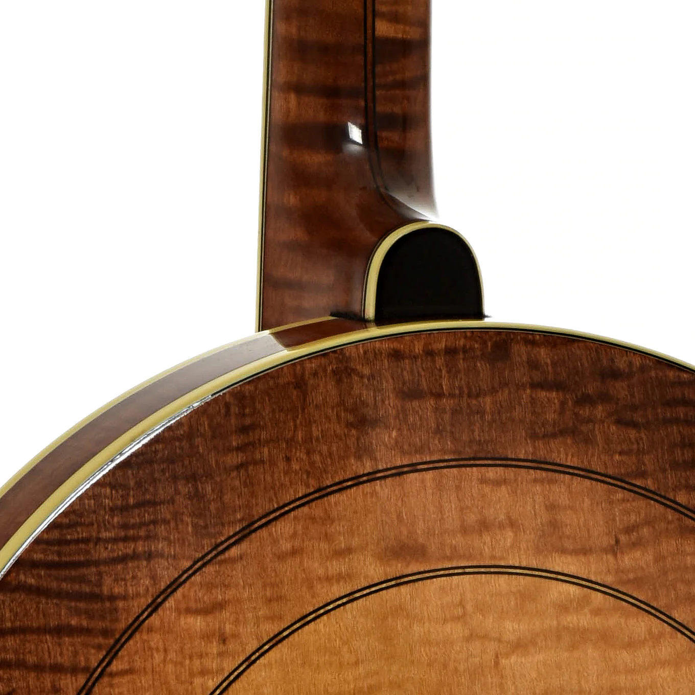 Ome Juggernaut Resonator Banjo (1993) - Image 12