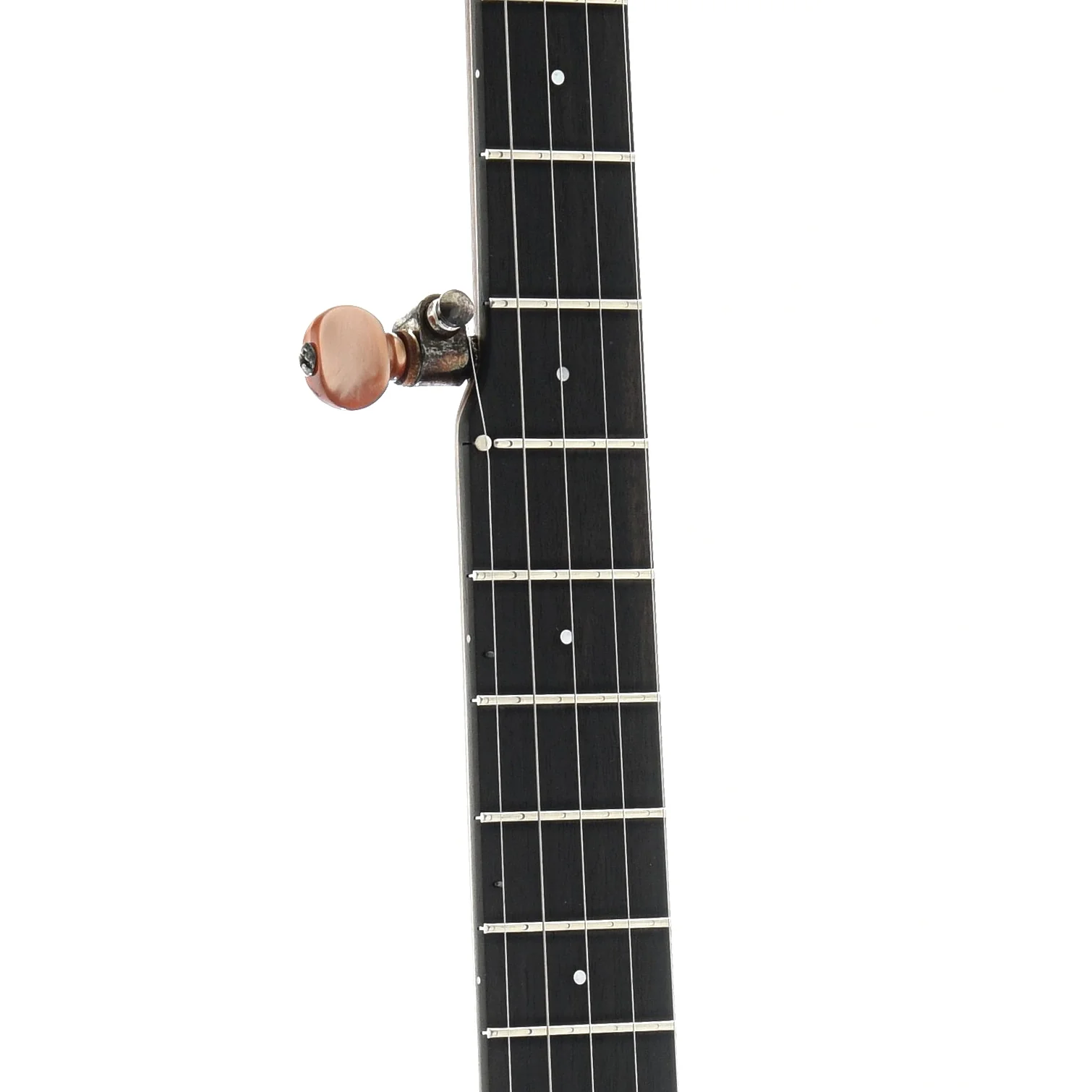 Ome Minstrel Custom Openback Banjo & Case, Walnut Neck & Rim - Image 5