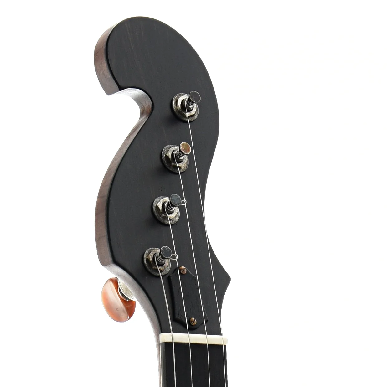 Ome Minstrel Custom Openback Banjo & Case, Walnut Neck & Rim - Image 6