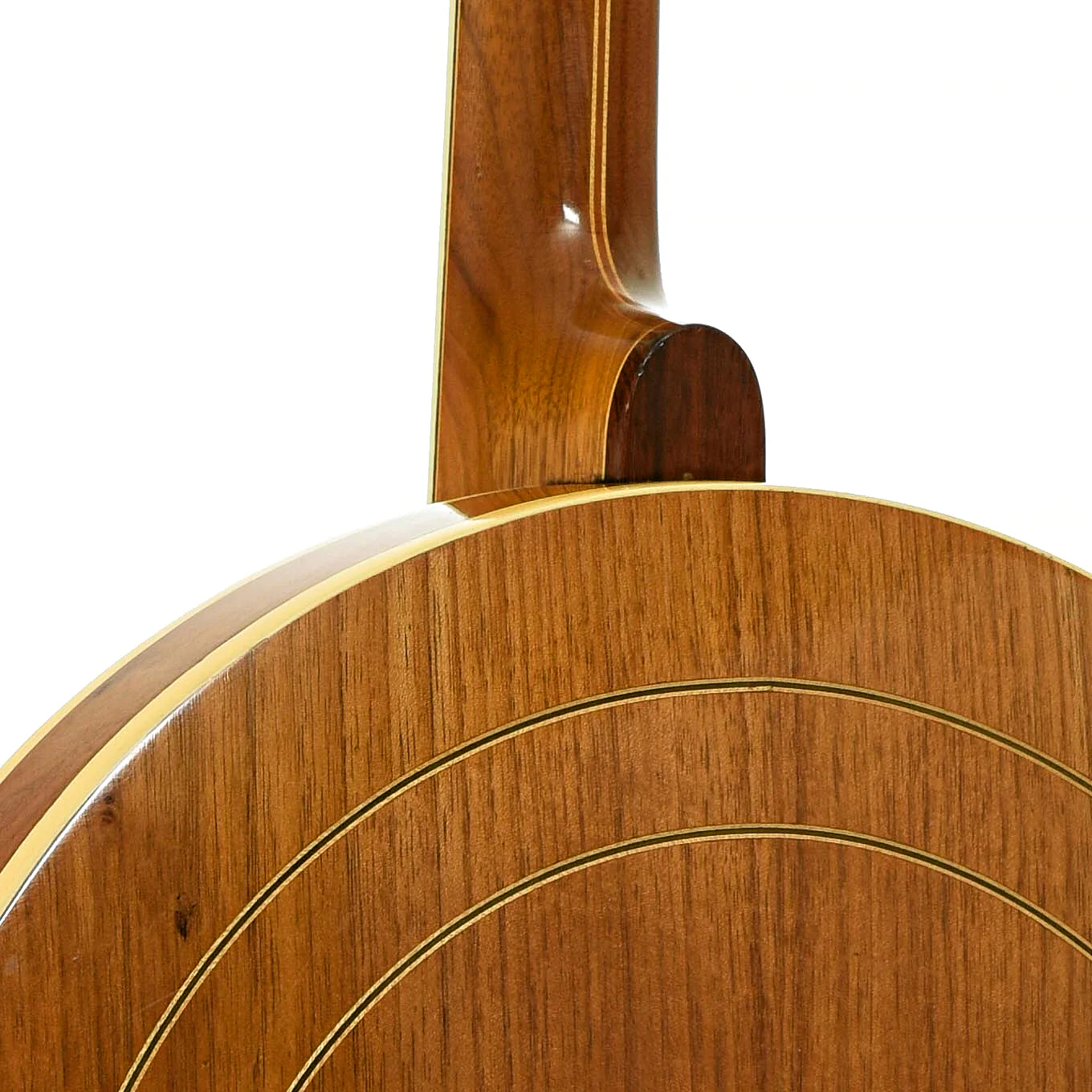 Ome Monarch Plectrum Banjo (c.1997) - Image 12