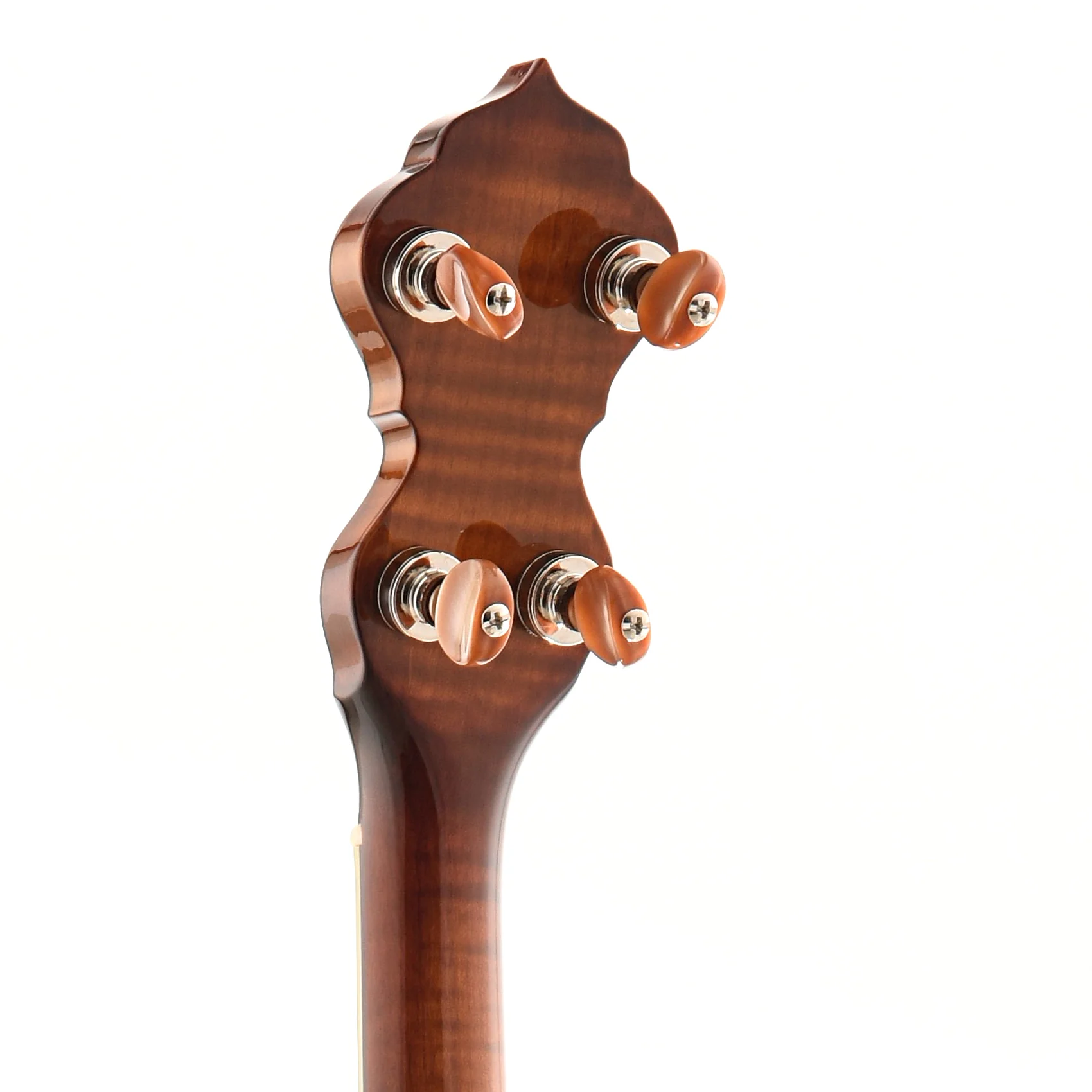 Ome Sweetgrass Openback Banjo & Case - Curly Maple - Image 7